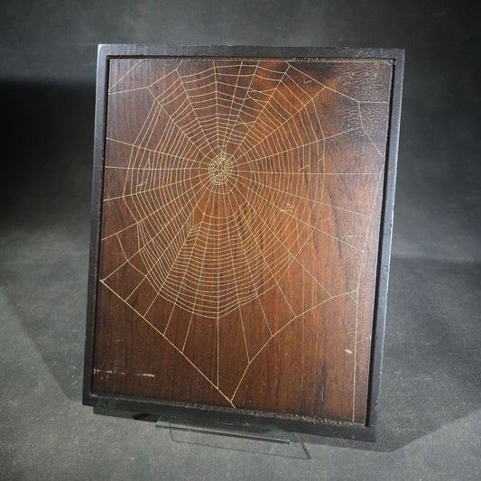 Vintage Real Orb Weaver Spider Web Mounted on Wood Plaque, Signed by Will Knight, Knight's Spider Web Farm, Williamstown, Vermont