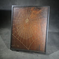 Lot 011 - Vintage Real Orb Weaver Spider Web Mounted on Wood Plaque, Signed by Will Knight, Knight's Spider Web Farm, Williamstown, Vermont, 9" W x 11" H