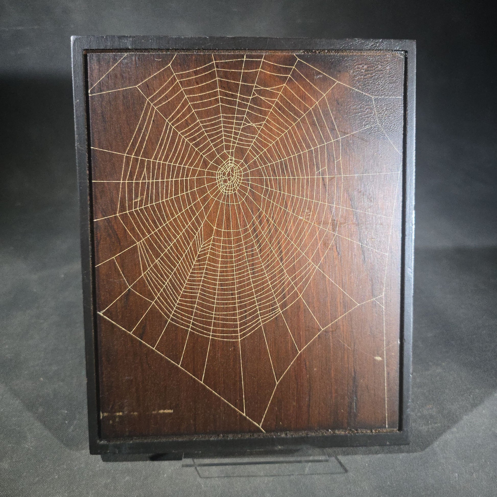Vintage Real Orb Weaver Spider Web Mounted on Wood Plaque, Signed by Will Knight, Knight's Spider Web Farm, Williamstown, Vermont