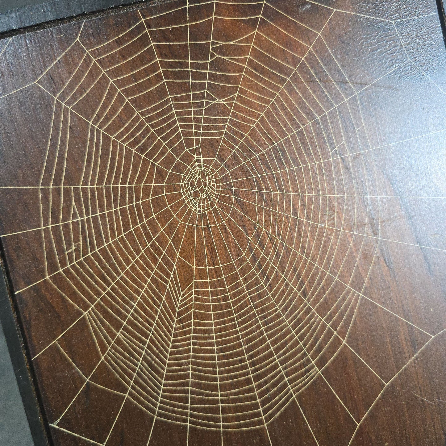 Vintage Real Orb Weaver Spider Web Mounted on Wood Plaque, Signed by Will Knight, Knight's Spider Web Farm, Williamstown, Vermont