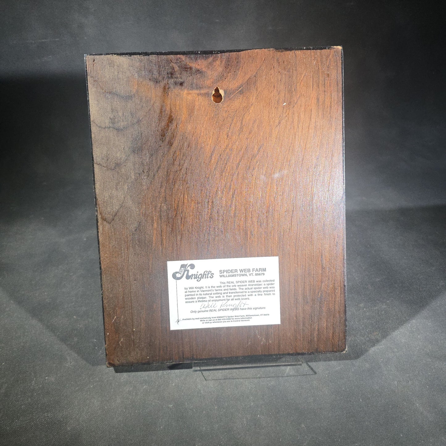 Vintage Real Orb Weaver Spider Web Mounted on Wood Plaque, Signed by Will Knight, Knight's Spider Web Farm, Williamstown, Vermont