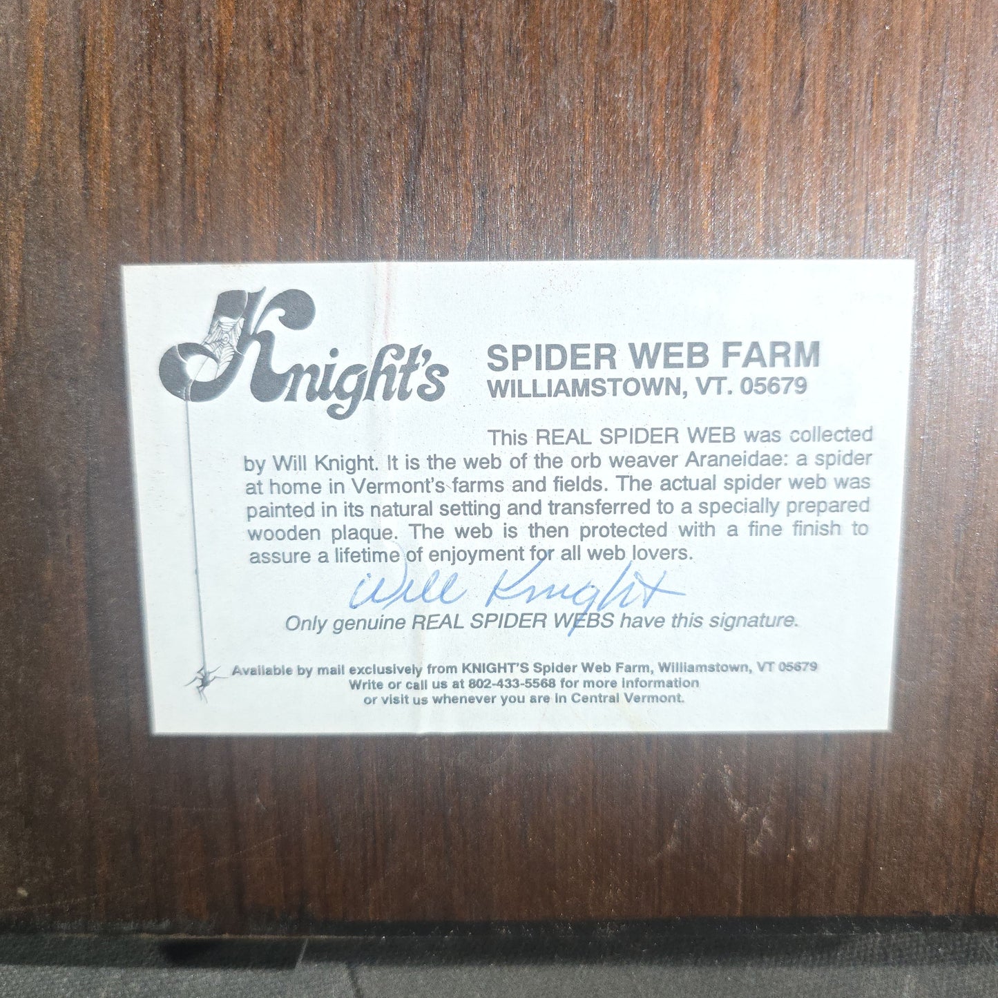 Vintage Real Orb Weaver Spider Web Mounted on Wood Plaque, Signed by Will Knight, Knight's Spider Web Farm, Williamstown, Vermont