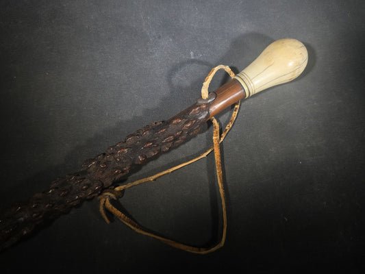 Antique Walking Cane with Bone Knob Handle, Naturalistic Bark Shaft, and Leather Wrist Strap
