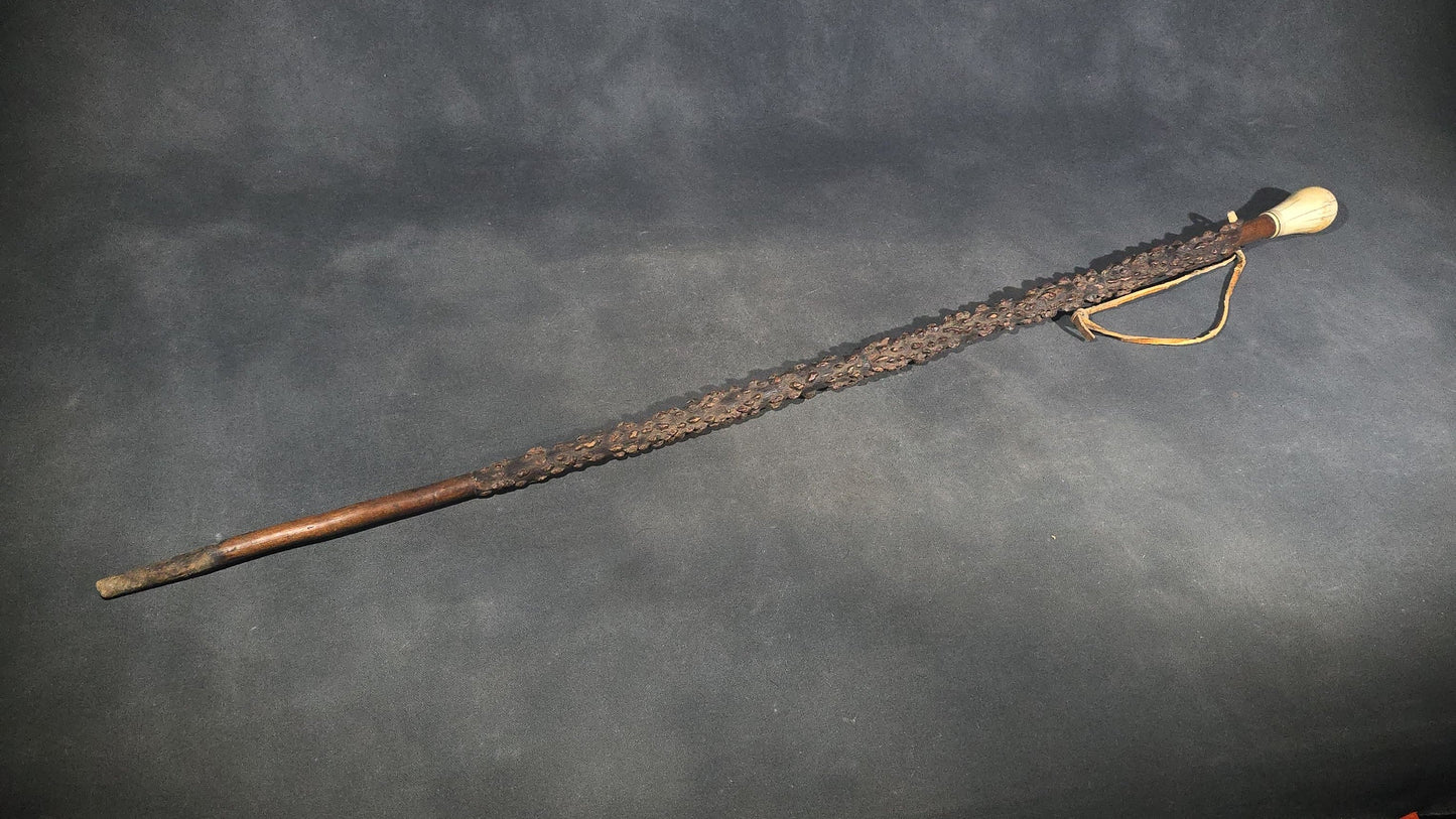 Antique Walking Cane with Bone Knob Handle, Naturalistic Bark Shaft, and Leather Wrist Strap