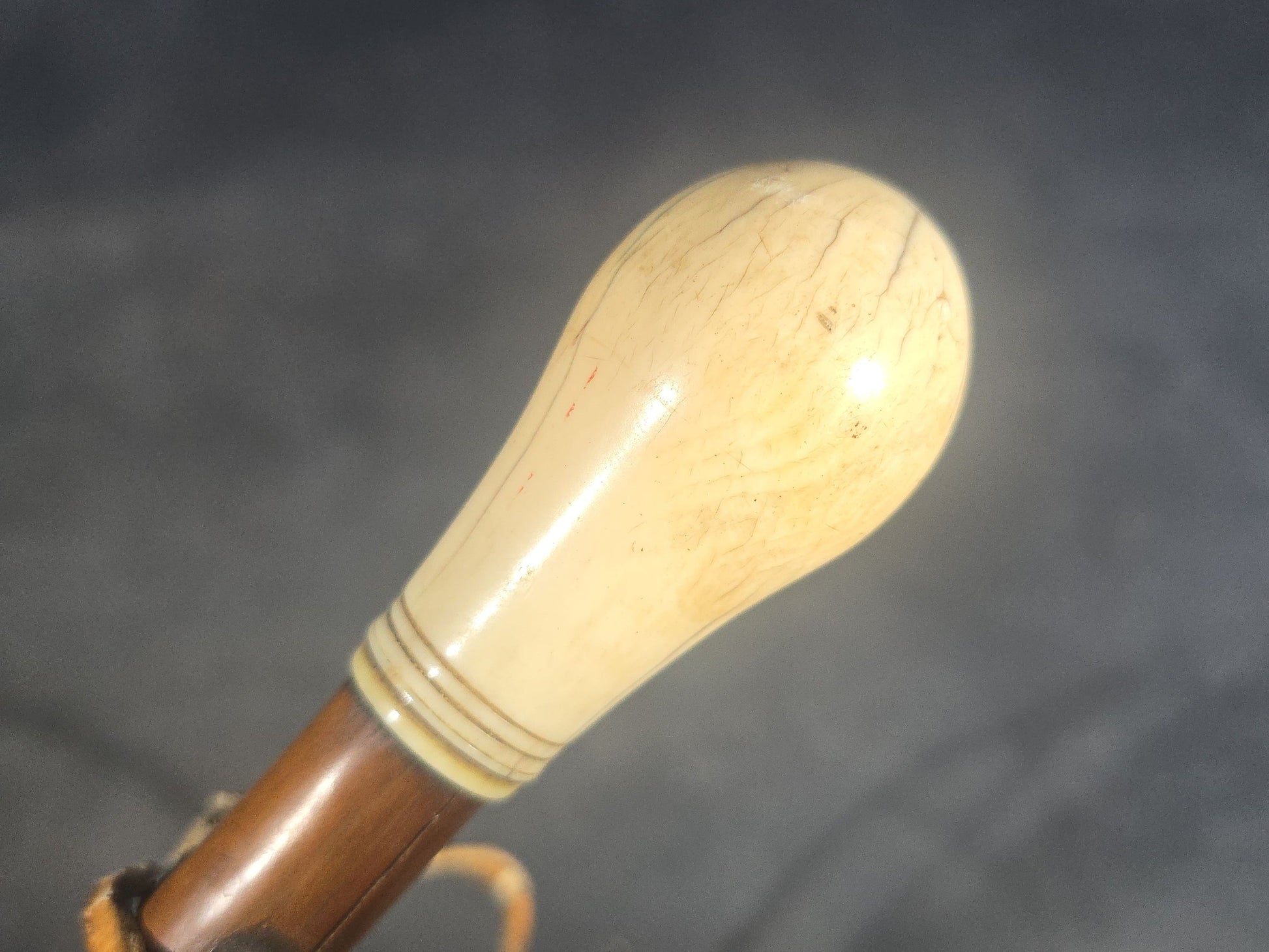 Antique Walking Cane with Bone Knob Handle, Naturalistic Bark Shaft, and Leather Wrist Strap