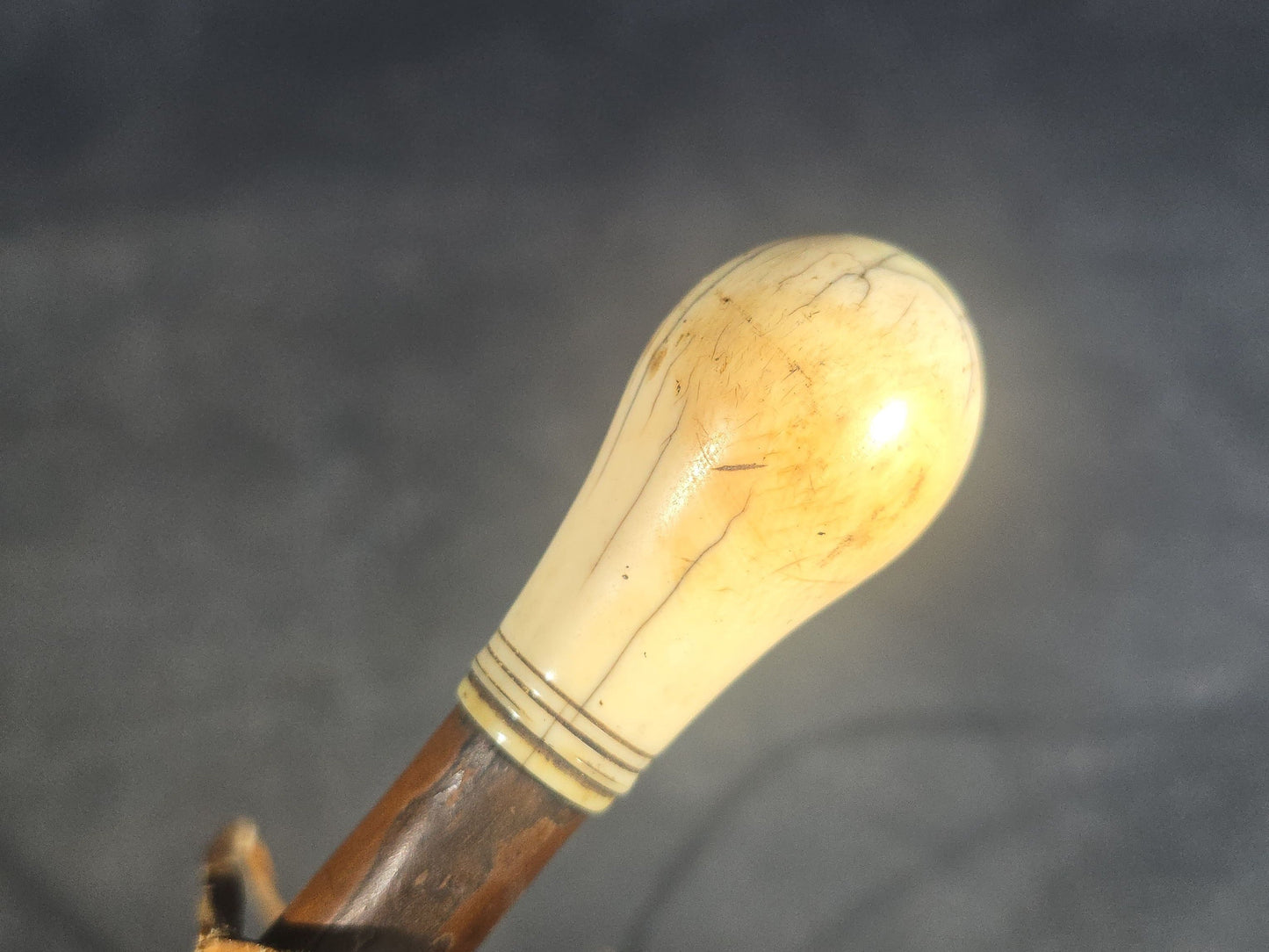 Antique Walking Cane with Bone Knob Handle, Naturalistic Bark Shaft, and Leather Wrist Strap