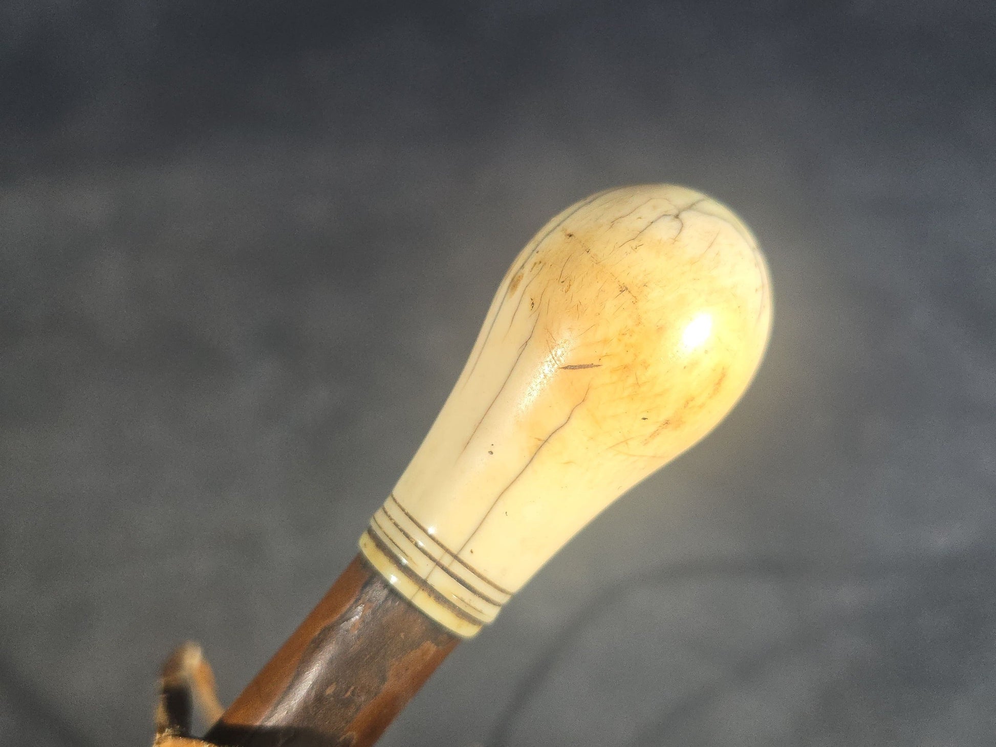 Antique Walking Cane with Bone Knob Handle, Naturalistic Bark Shaft, and Leather Wrist Strap