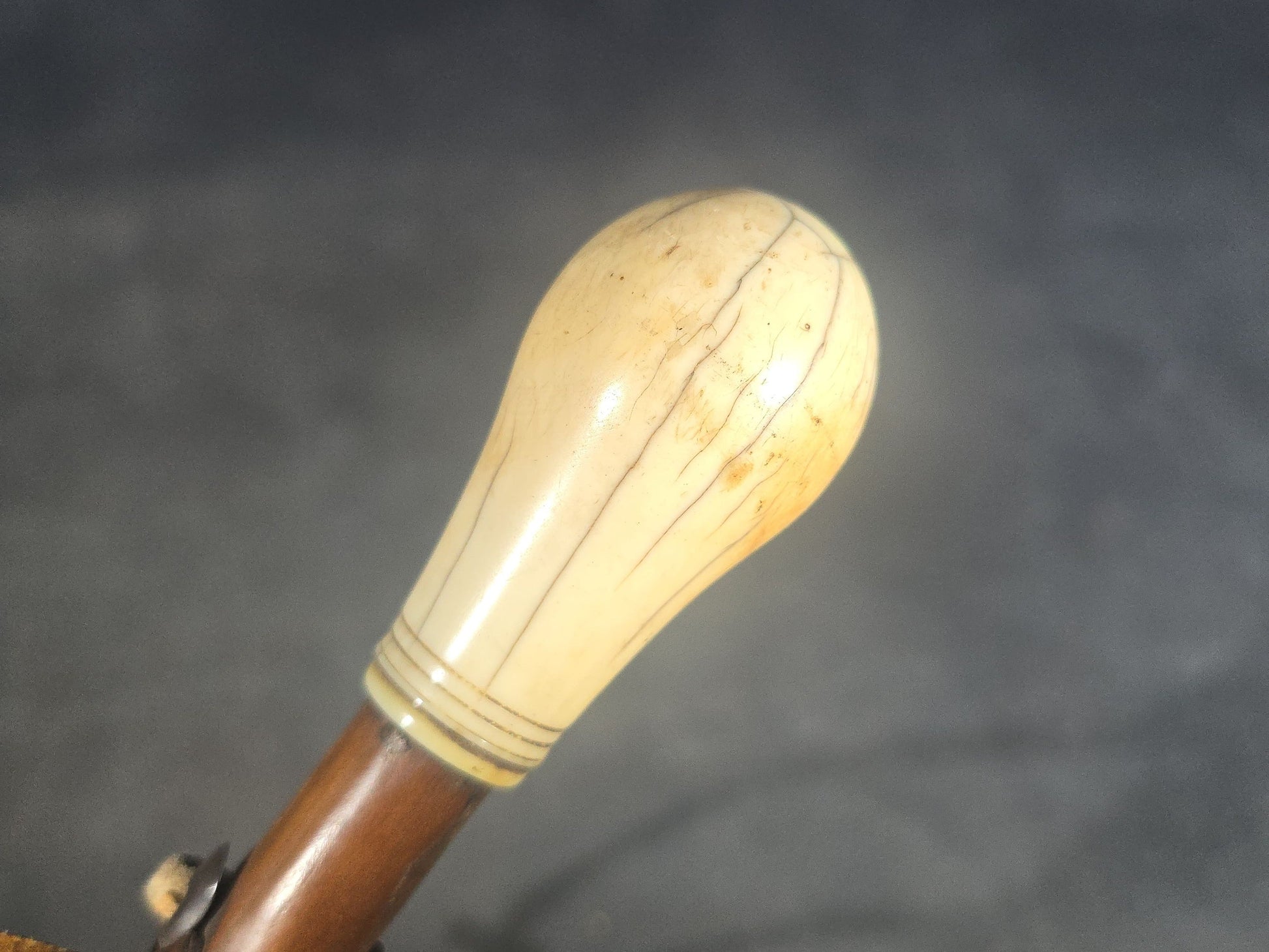 Antique Walking Cane with Bone Knob Handle, Naturalistic Bark Shaft, and Leather Wrist Strap