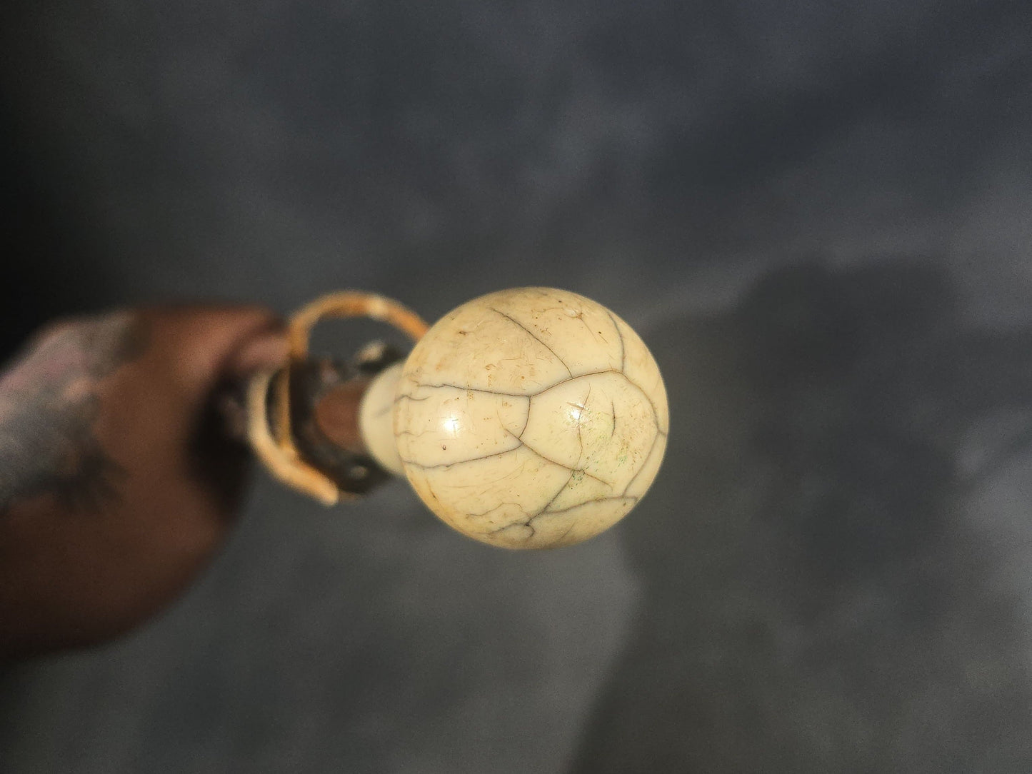 Antique Walking Cane with Bone Knob Handle, Naturalistic Bark Shaft, and Leather Wrist Strap