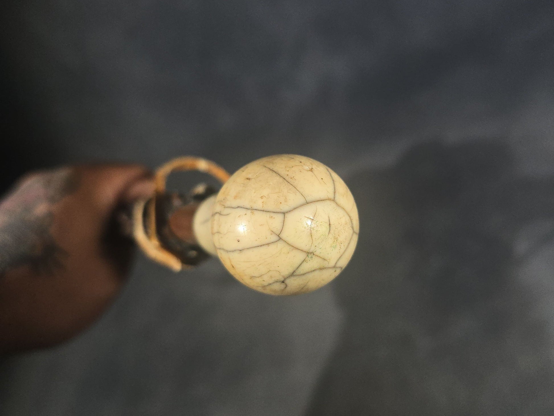 Antique Walking Cane with Bone Knob Handle, Naturalistic Bark Shaft, and Leather Wrist Strap