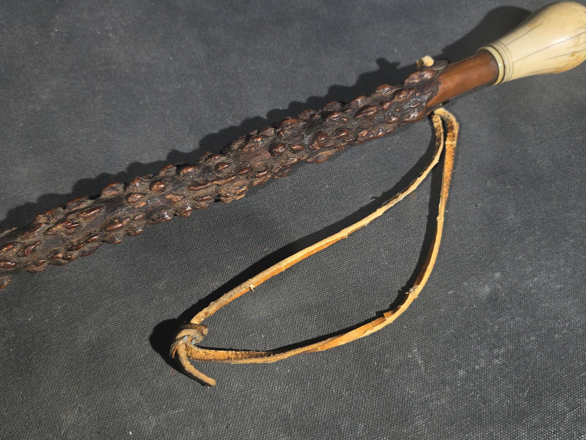 Antique Walking Cane with Bone Knob Handle, Naturalistic Bark Shaft, and Leather Wrist Strap