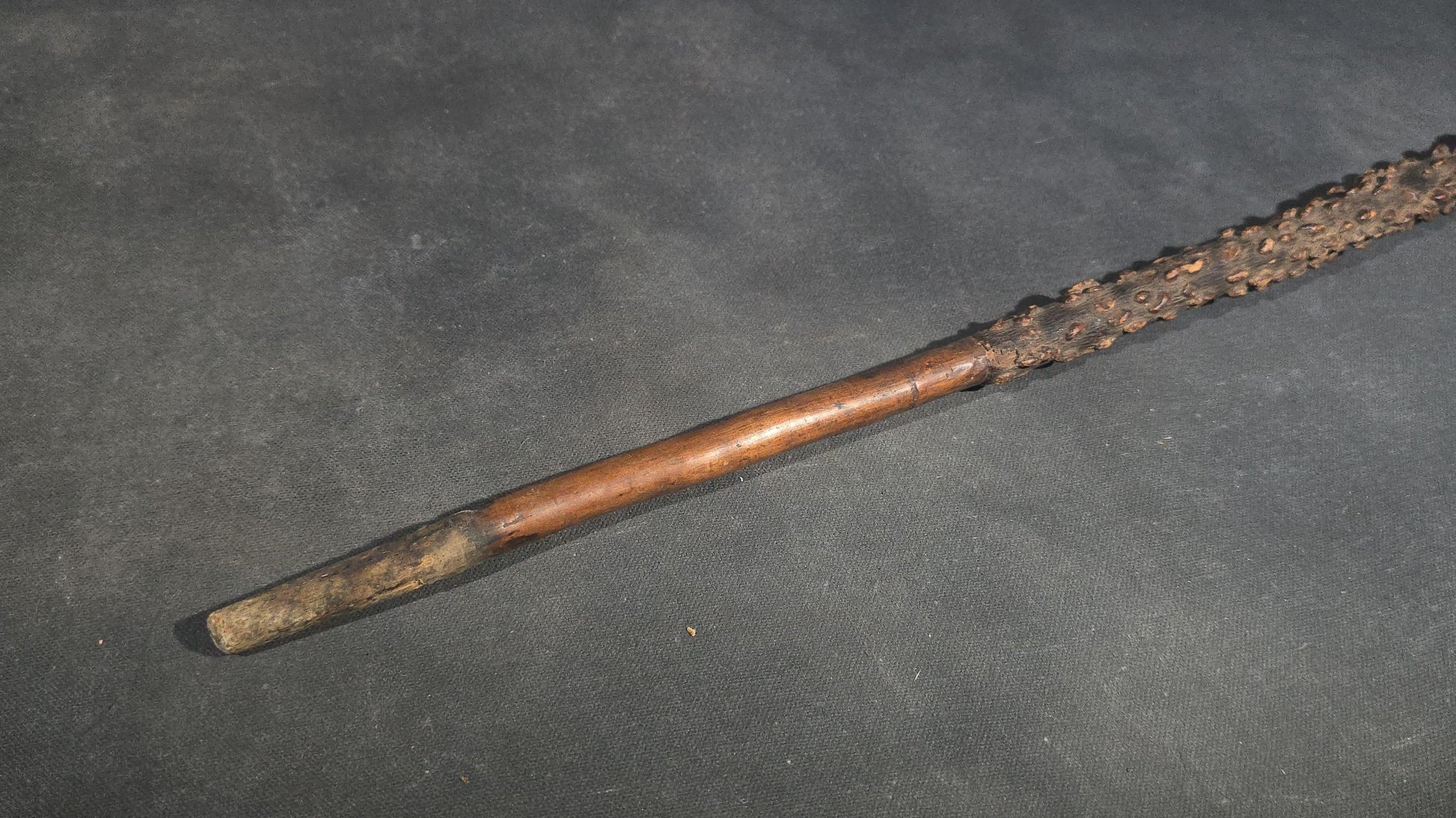 Antique Walking Cane with Bone Knob Handle, Naturalistic Bark Shaft, and Leather Wrist Strap