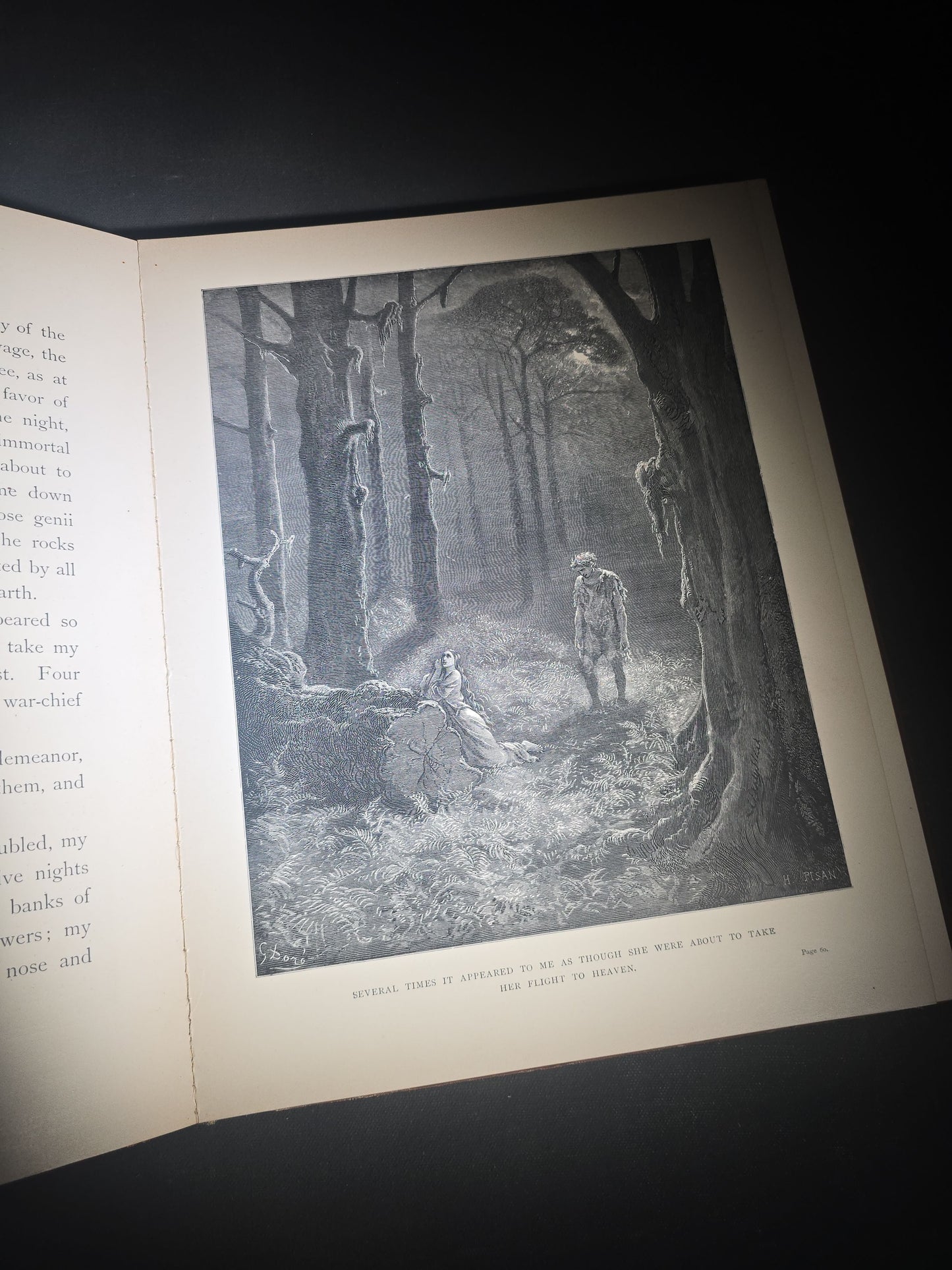 "Atala" Antique Illustrated Book by Chateaubriand, Illustrated by Gustave Dore, Translated by James Spence Harry, Published by Cassell & Company Limited, New York, 1884