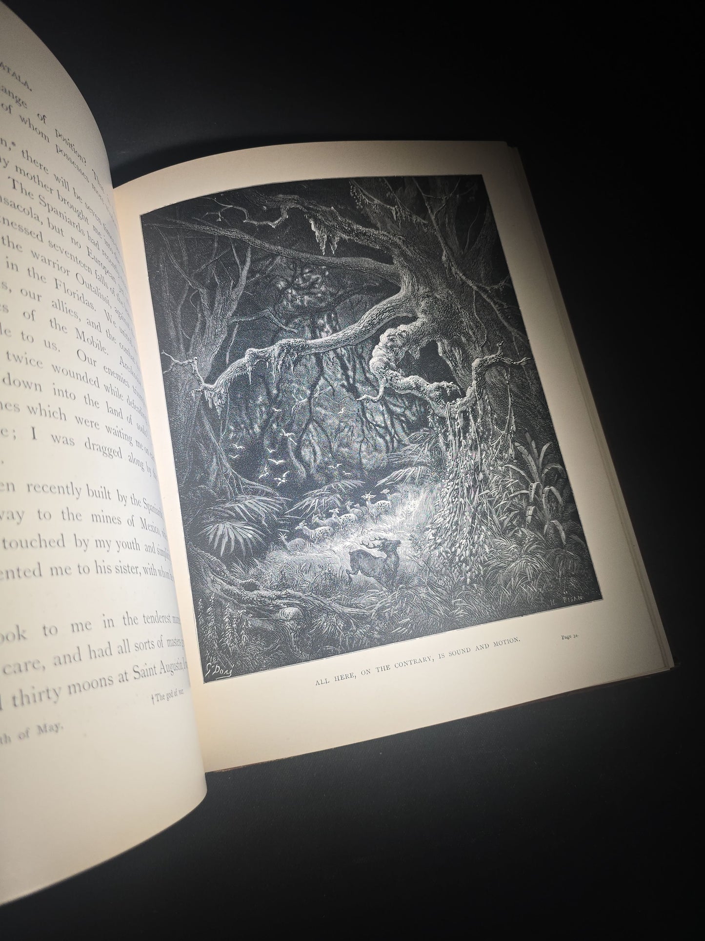 "Atala" Antique Illustrated Book by Chateaubriand, Illustrated by Gustave Dore, Translated by James Spence Harry, Published by Cassell & Company Limited, New York, 1884