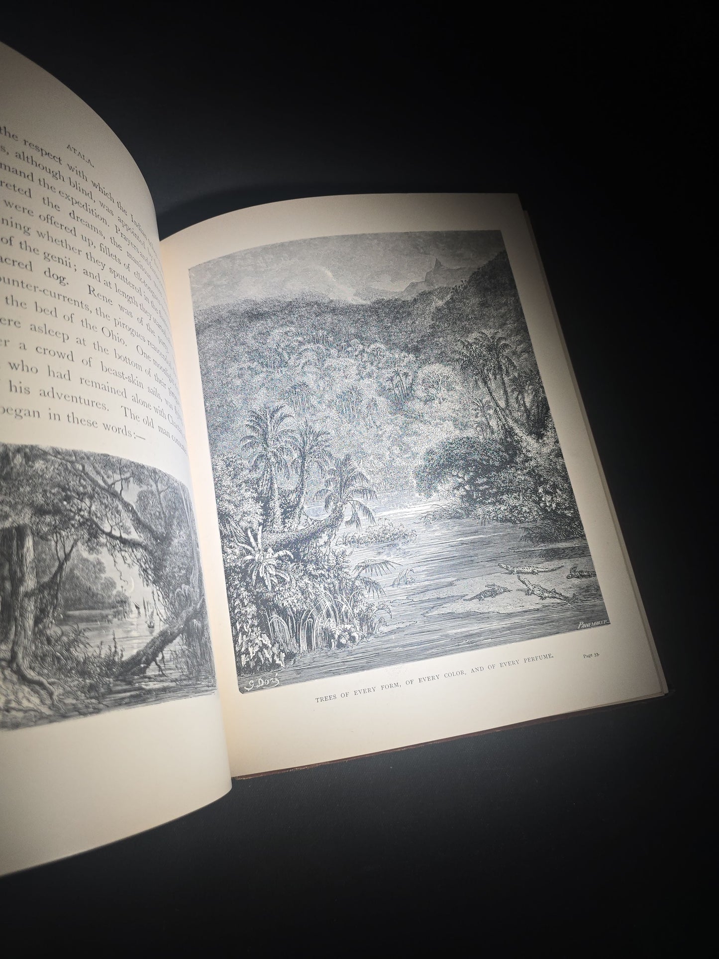 "Atala" Antique Illustrated Book by Chateaubriand, Illustrated by Gustave Dore, Translated by James Spence Harry, Published by Cassell & Company Limited, New York, 1884