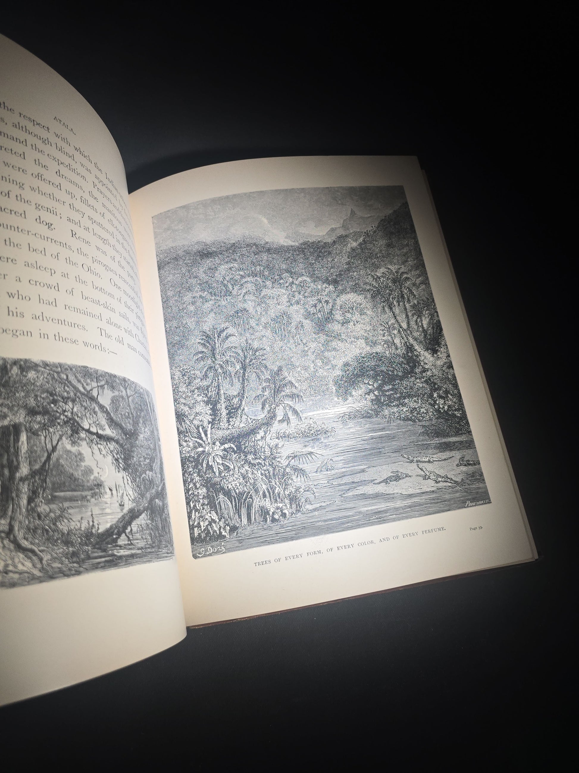 "Atala" Antique Illustrated Book by Chateaubriand, Illustrated by Gustave Dore, Translated by James Spence Harry, Published by Cassell & Company Limited, New York, 1884