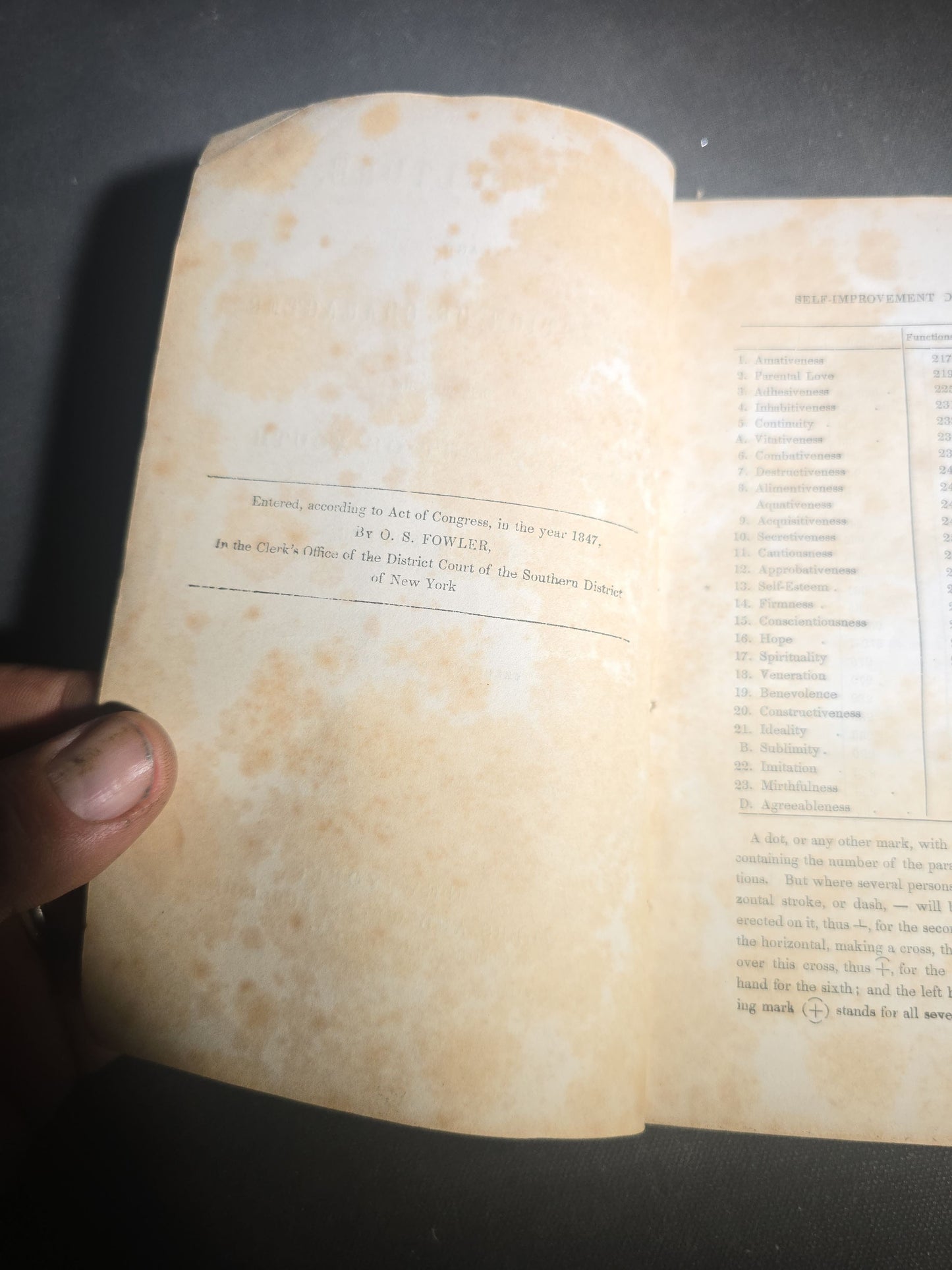 "Self-Culture, and Perfection of Character Including the Management of Youth" Antique Illustrated Phrenology Book by O. S. Fowler, Published by Fowlers and Wells, New York, 1852