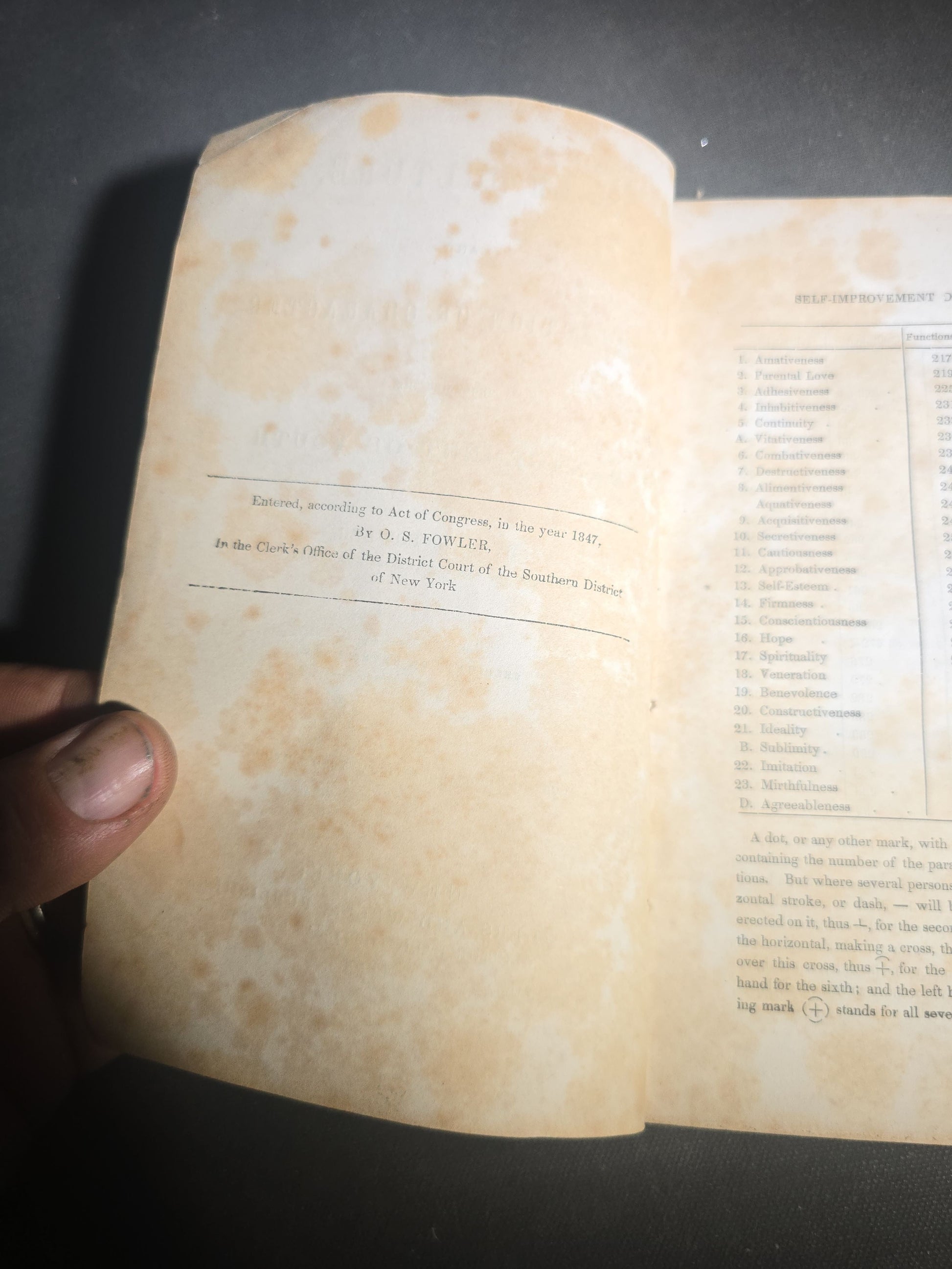 "Self-Culture, and Perfection of Character Including the Management of Youth" Antique Illustrated Phrenology Book by O. S. Fowler, Published by Fowlers and Wells, New York, 1852