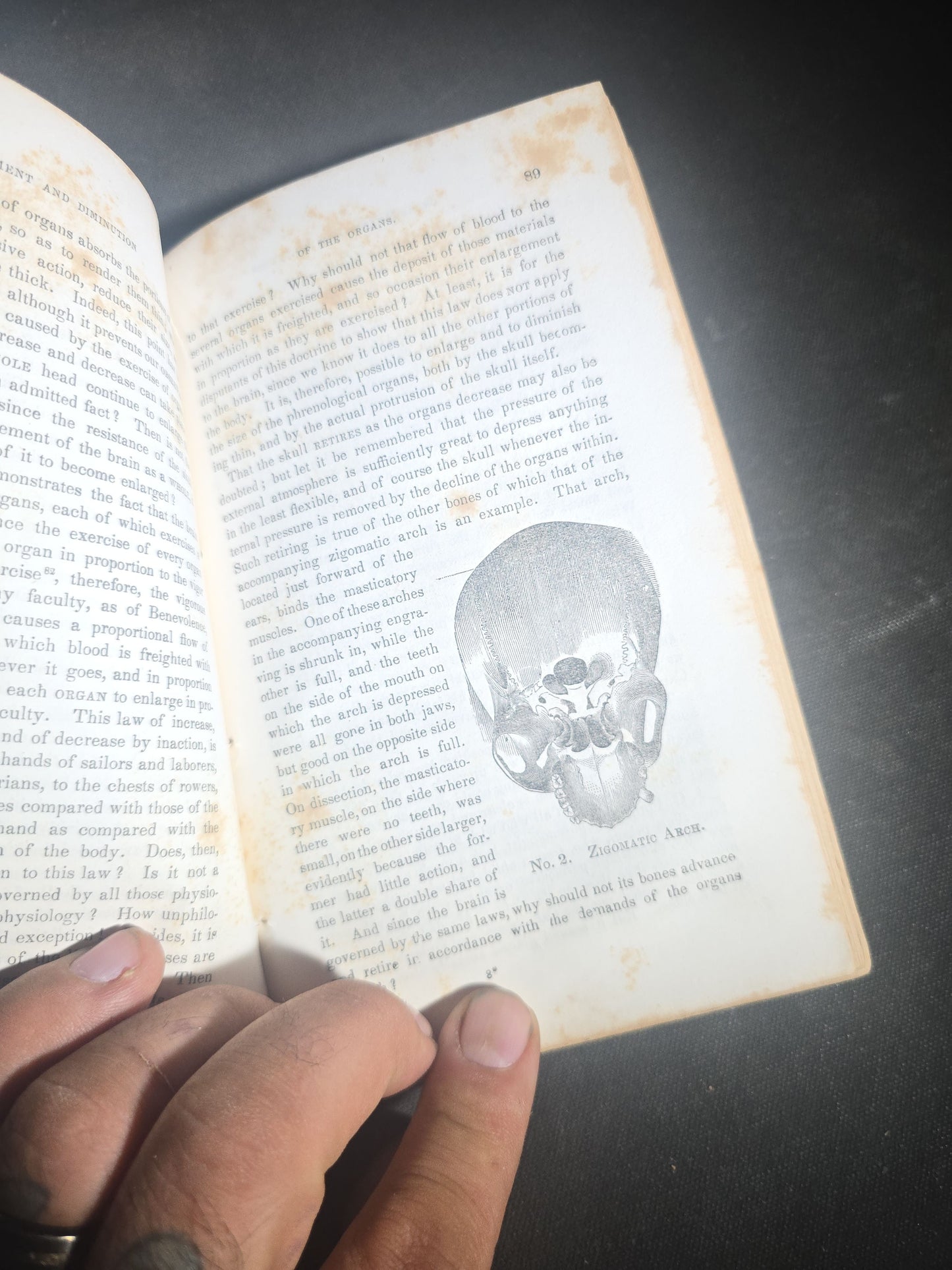 "Self-Culture, and Perfection of Character Including the Management of Youth" Antique Illustrated Phrenology Book by O. S. Fowler, Published by Fowlers and Wells, New York, 1852
