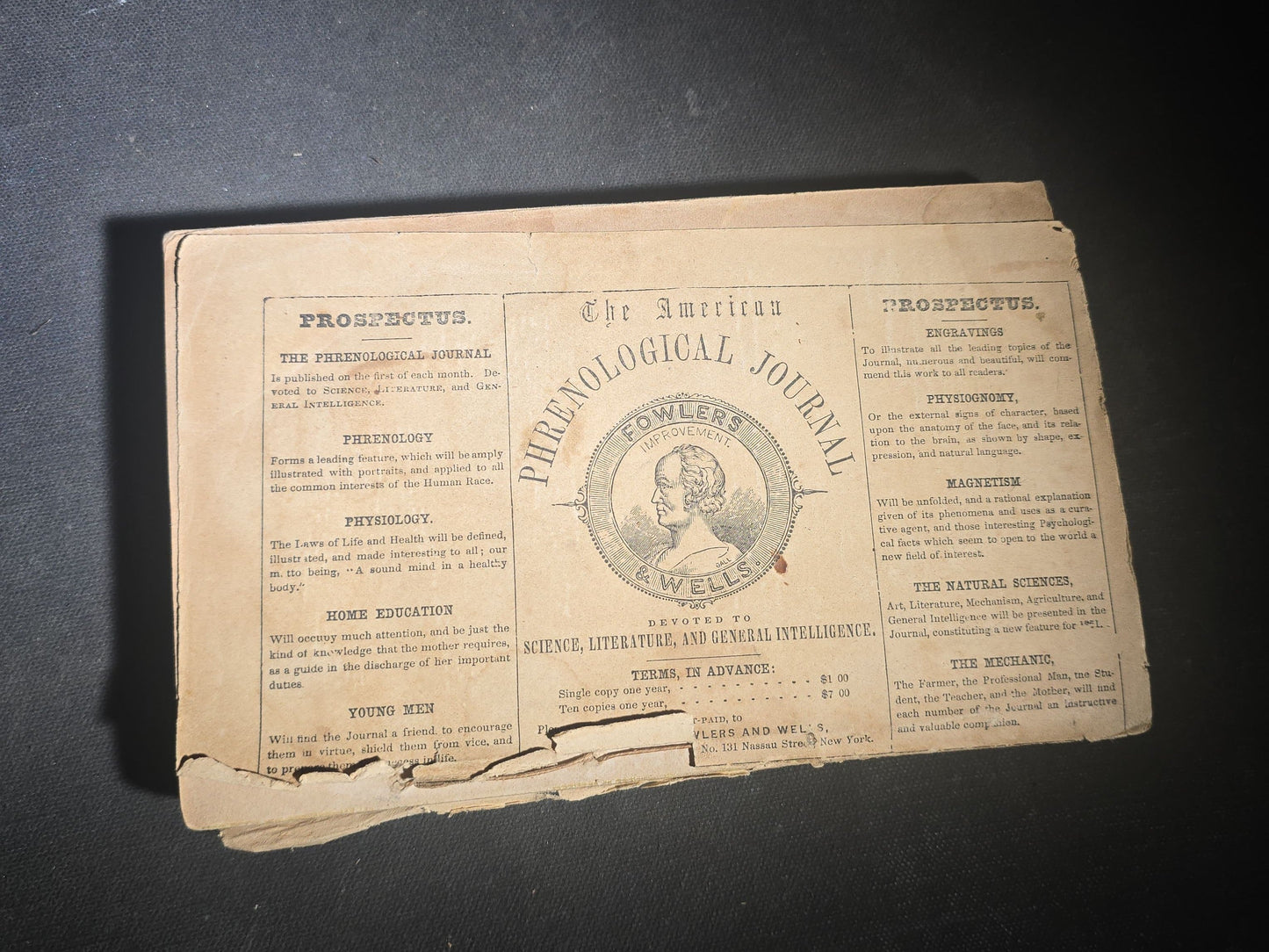 "Self-Culture, and Perfection of Character Including the Management of Youth" Antique Illustrated Phrenology Book by O. S. Fowler, Published by Fowlers and Wells, New York, 1852