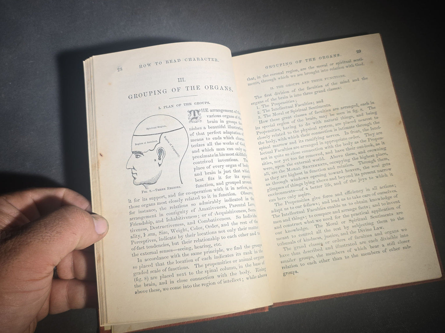 "How to Read Character" Antique Illustrated Phrenology and Physiognomy Handbook, Published by S. R. Wells & Company, New York, 1877