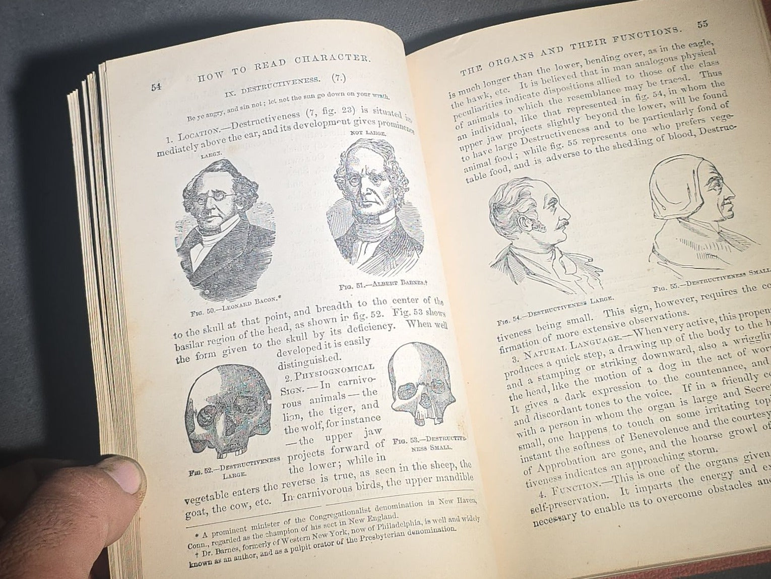 "How to Read Character" Antique Illustrated Phrenology and Physiognomy Handbook, Published by S. R. Wells & Company, New York, 1877