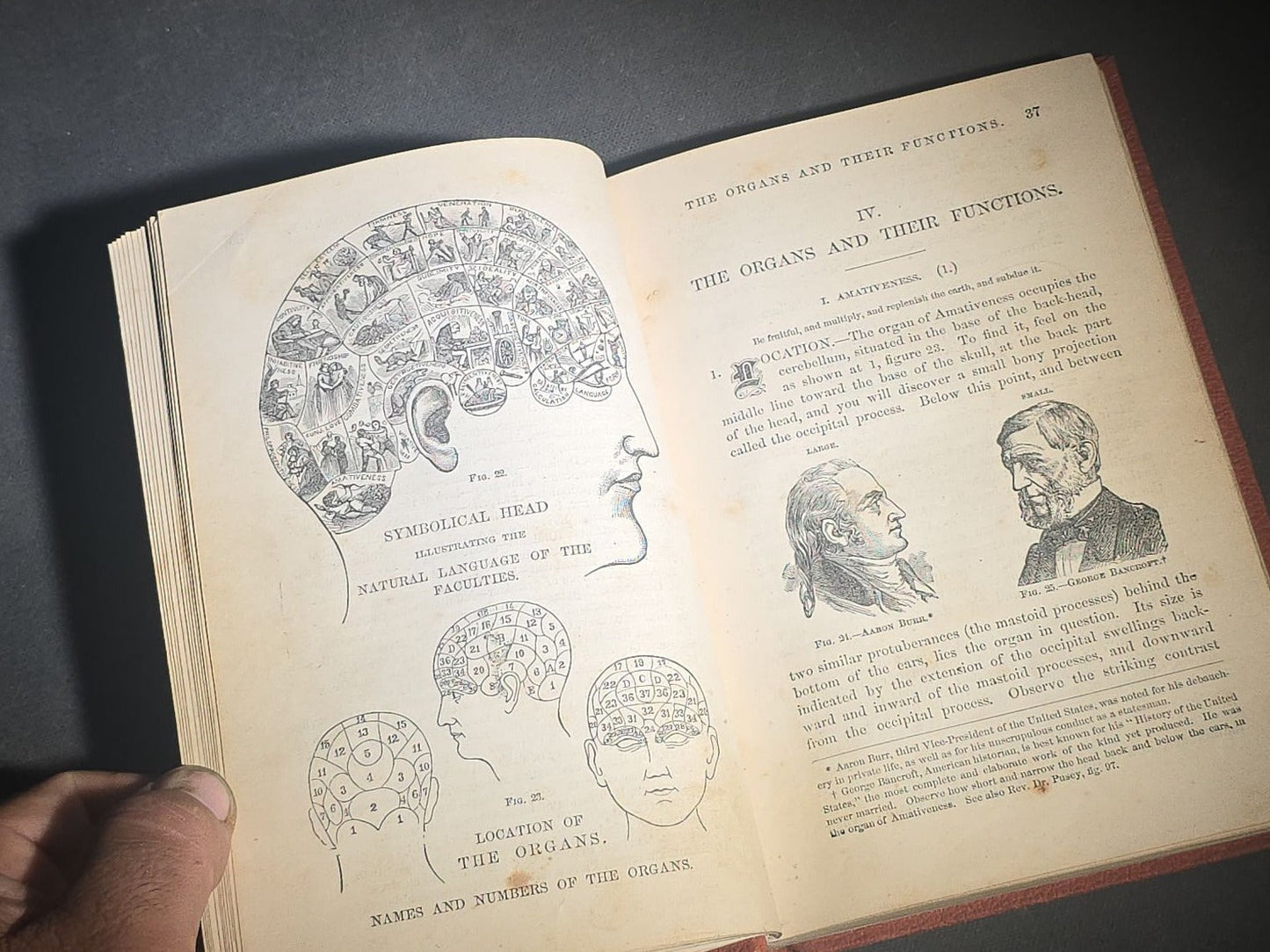 "How to Read Character" Antique Illustrated Phrenology and Physiognomy Handbook, Published by S. R. Wells & Company, New York, 1877
