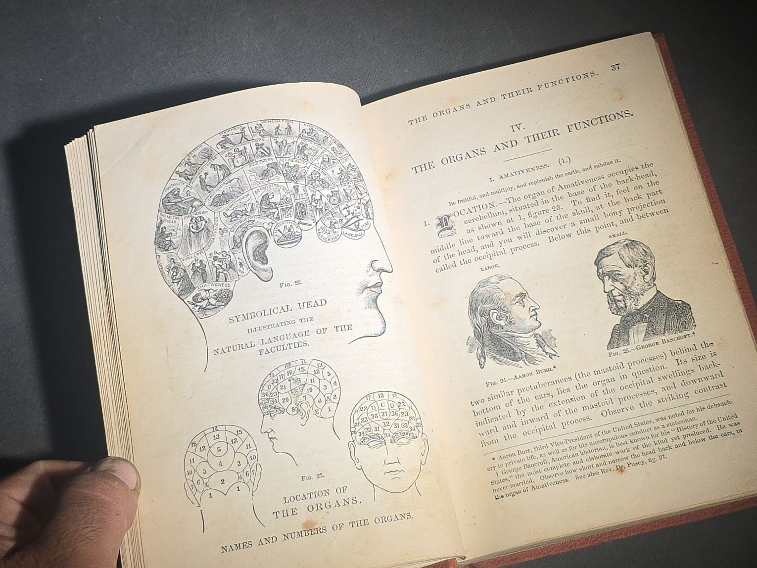 "How to Read Character" Antique Illustrated Phrenology and Physiognomy Handbook, Published by S. R. Wells & Company, New York, 1877