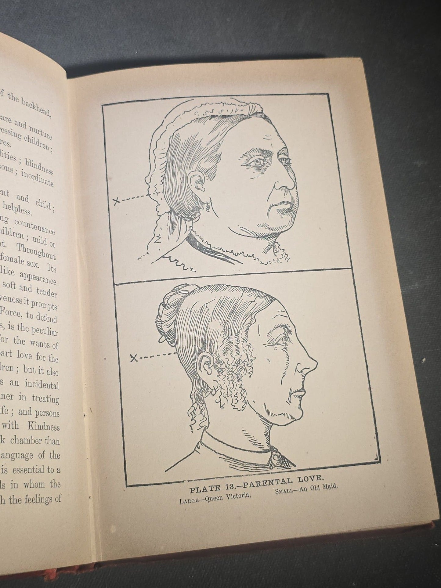 "The Modern Self-Instructor in Phrenology, Physiology, and Physiognomy" Antique Illustrated Phrenology Book by Gustavus Cohen, Illustrated by Fritz Braun, Published by Gustavus Cohen & Co., London