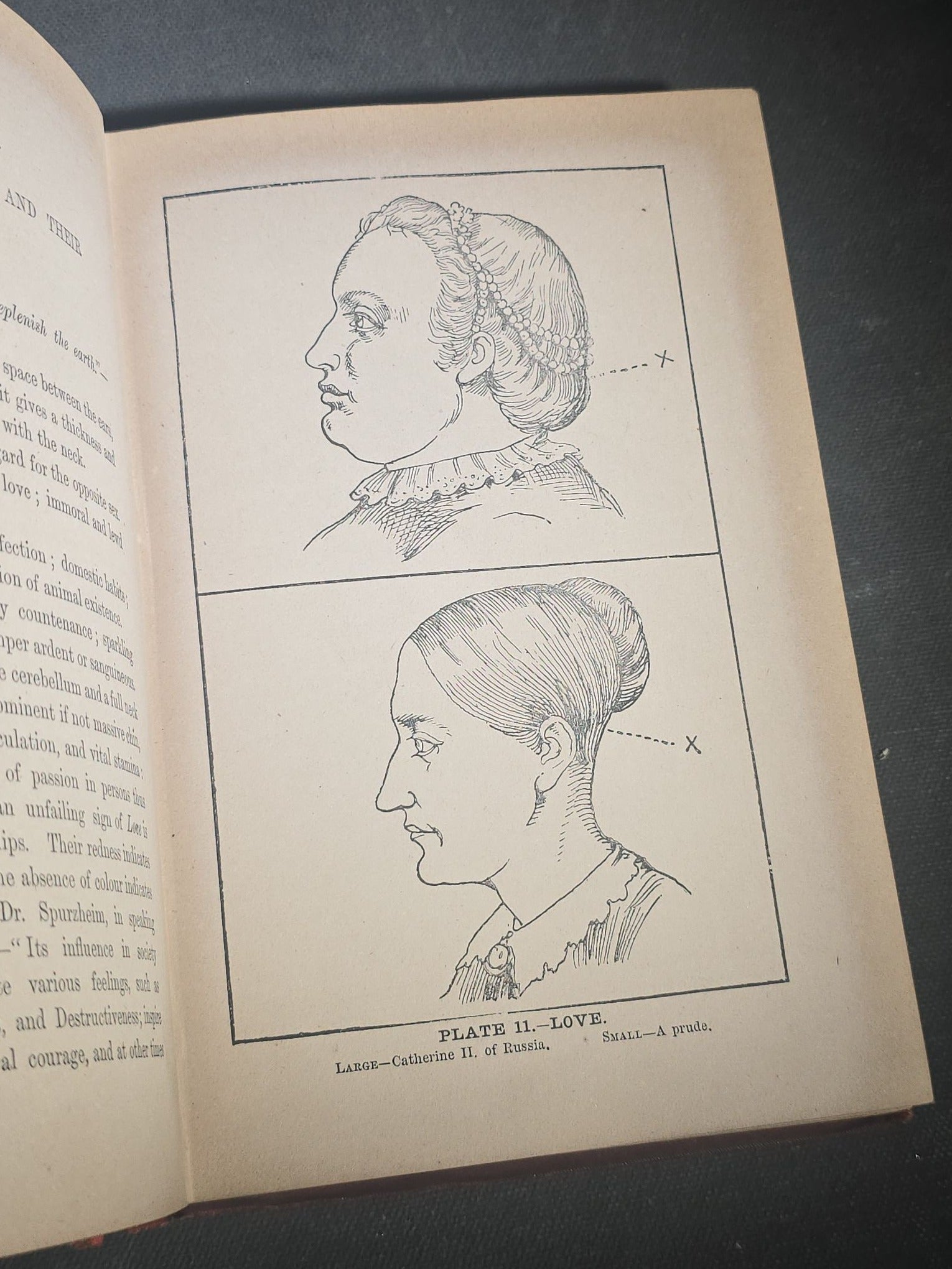 "The Modern Self-Instructor in Phrenology, Physiology, and Physiognomy" Antique Illustrated Phrenology Book by Gustavus Cohen, Illustrated by Fritz Braun, Published by Gustavus Cohen & Co., London