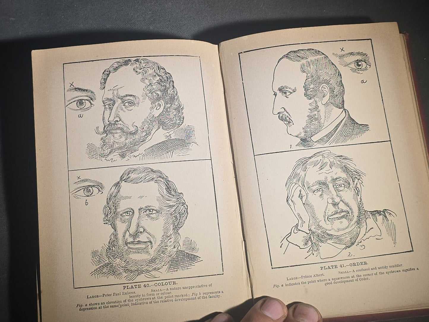 "The Modern Self-Instructor in Phrenology, Physiology, and Physiognomy" Antique Illustrated Phrenology Book by Gustavus Cohen, Illustrated by Fritz Braun, Published by Gustavus Cohen & Co., London