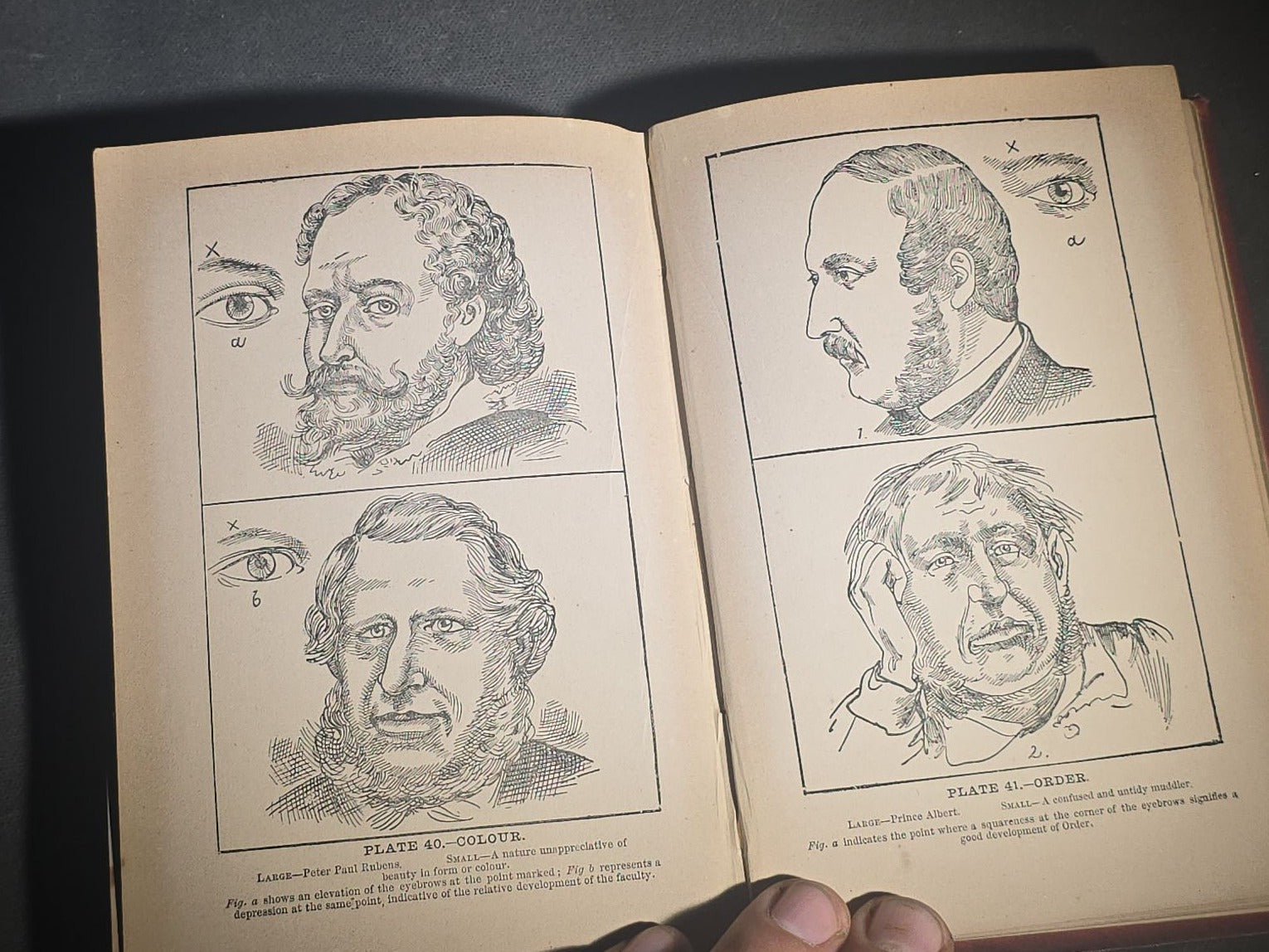 "The Modern Self-Instructor in Phrenology, Physiology, and Physiognomy" Antique Illustrated Phrenology Book by Gustavus Cohen, Illustrated by Fritz Braun, Published by Gustavus Cohen & Co., London