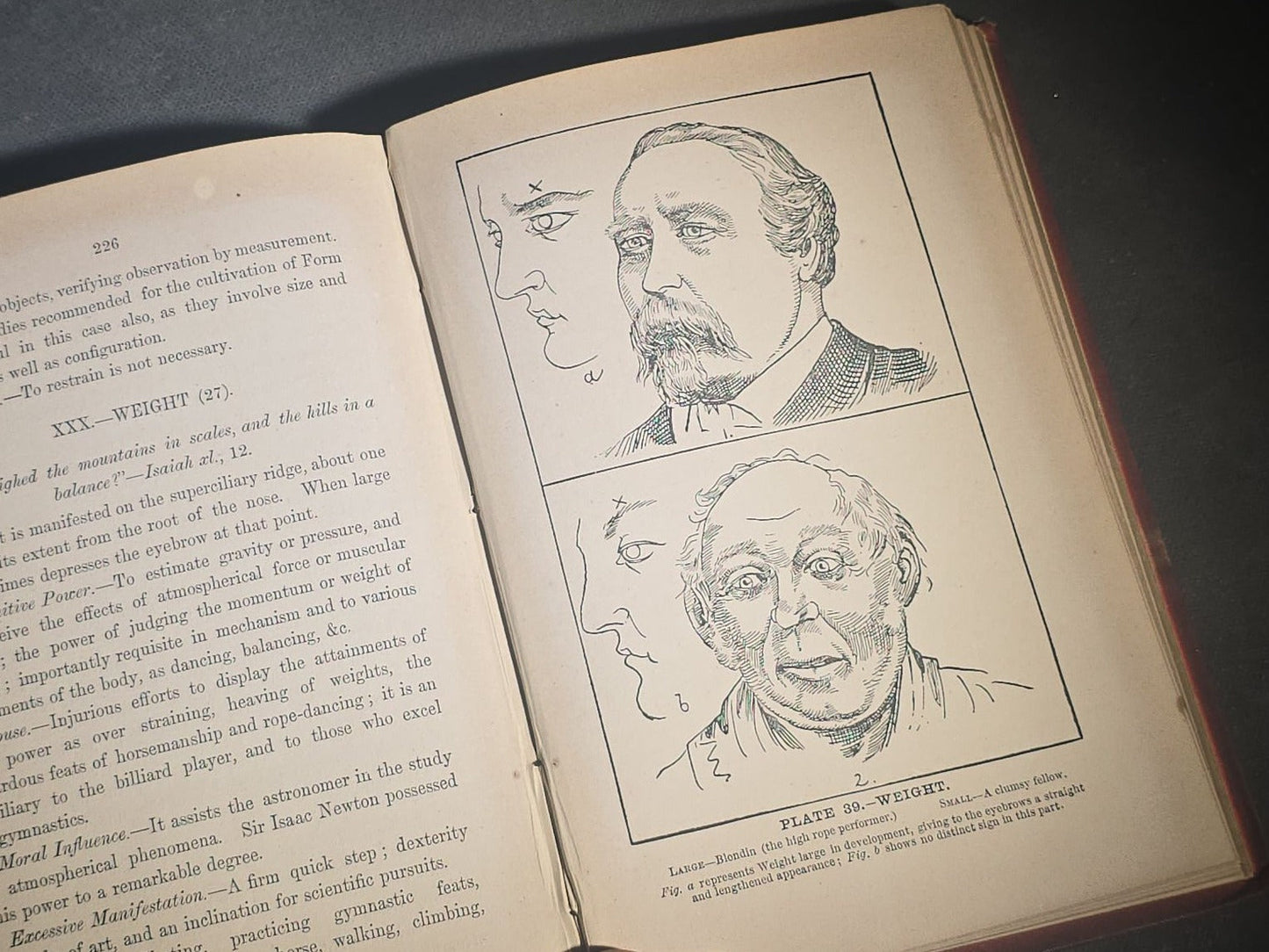 "The Modern Self-Instructor in Phrenology, Physiology, and Physiognomy" Antique Illustrated Phrenology Book by Gustavus Cohen, Illustrated by Fritz Braun, Published by Gustavus Cohen & Co., London