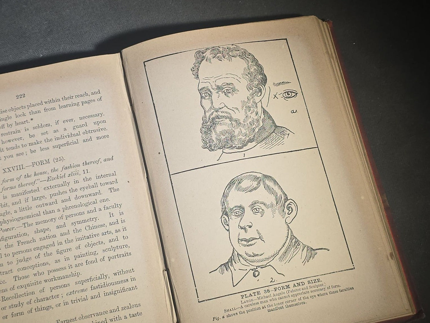 "The Modern Self-Instructor in Phrenology, Physiology, and Physiognomy" Antique Illustrated Phrenology Book by Gustavus Cohen, Illustrated by Fritz Braun, Published by Gustavus Cohen & Co., London
