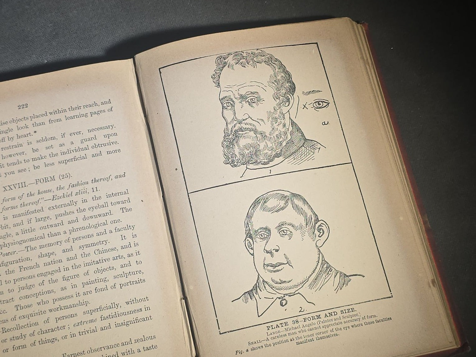 "The Modern Self-Instructor in Phrenology, Physiology, and Physiognomy" Antique Illustrated Phrenology Book by Gustavus Cohen, Illustrated by Fritz Braun, Published by Gustavus Cohen & Co., London