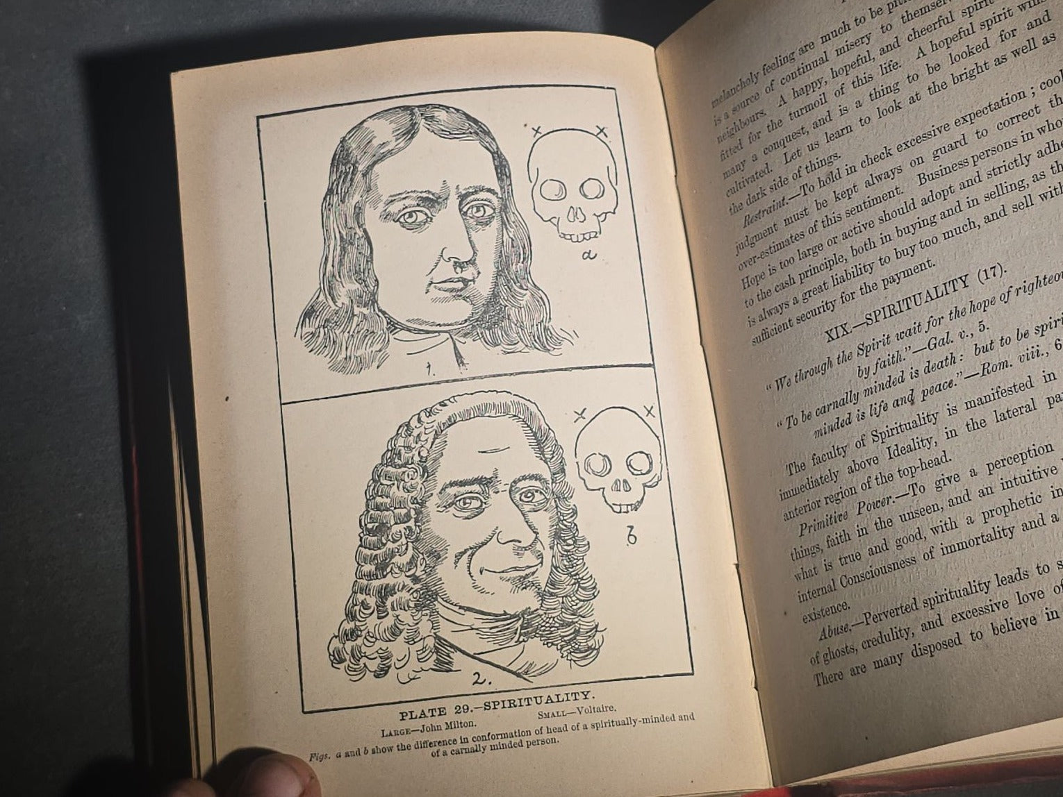 "The Modern Self-Instructor in Phrenology, Physiology, and Physiognomy" Antique Illustrated Phrenology Book by Gustavus Cohen, Illustrated by Fritz Braun, Published by Gustavus Cohen & Co., London