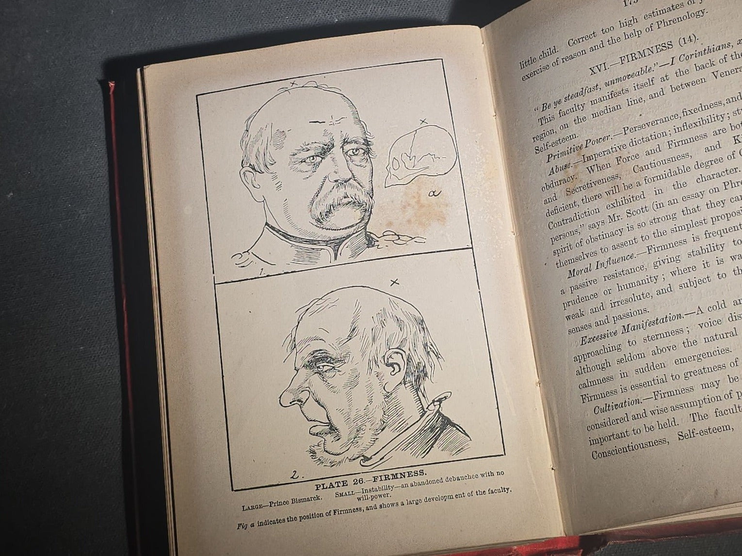 "The Modern Self-Instructor in Phrenology, Physiology, and Physiognomy" Antique Illustrated Phrenology Book by Gustavus Cohen, Illustrated by Fritz Braun, Published by Gustavus Cohen & Co., London
