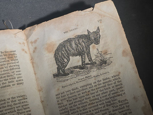 "The Menageries: Quadrupeds, Described and Drawn from Living Subjects" Antique Illustrated Natural History Book, Vol. I Part I, The Library of Entertaining Knowledge, Published by Wells and Lilly, Boston, Massachusetts, 1830