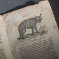 Lot 045 - "The Menageries: Quadrupeds, Described and Drawn from Living Subjects" Antique Illustrated Natural History Book, Vol. I Part I, the Library of Entertaining Knowledge, Published by Wells and Lilly, Boston, Massachusetts, 1830