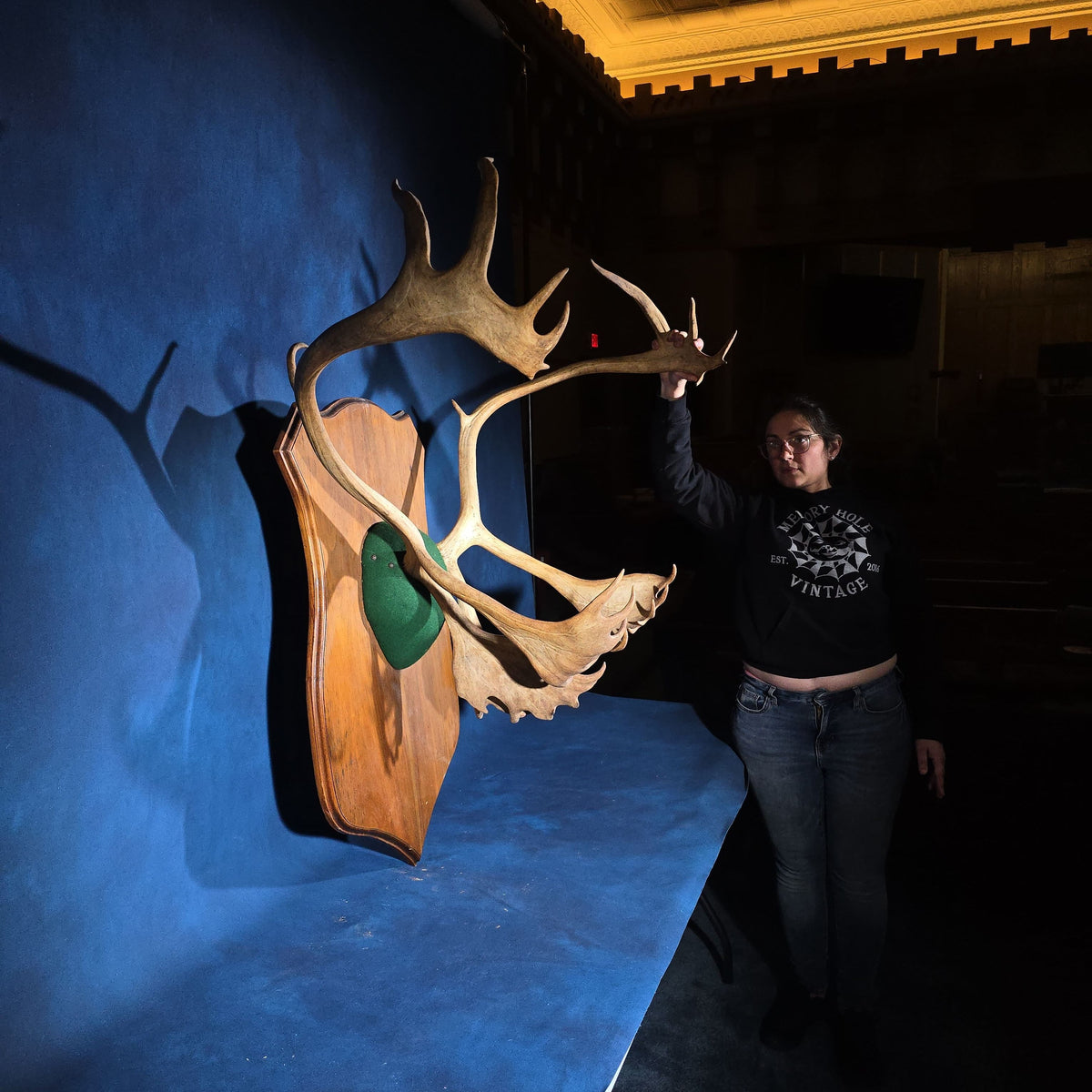 Vintage Mounted Caribou Antler Rack on Shield-Shaped Wooden Wall Plaque with Green Felt Skull Cap Cover