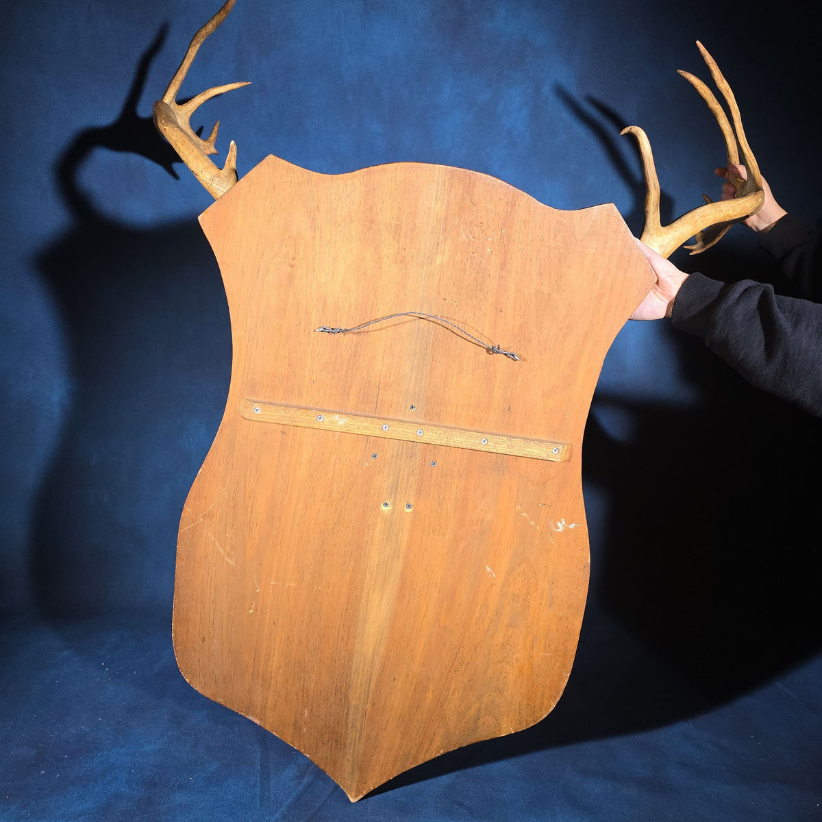 Vintage Mounted Caribou Antler Rack on Shield-Shaped Wooden Wall Plaque with Green Felt Skull Cap Cover