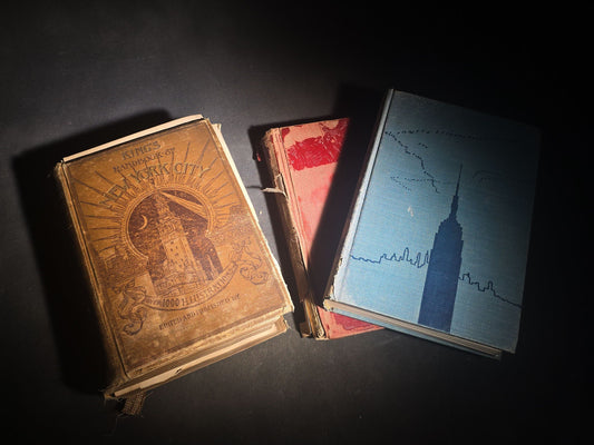 Trio of Antique and Vintage New York City Books including "King's Handbook of New York City," "The American Metropolis," and "A Natural History of New York City"