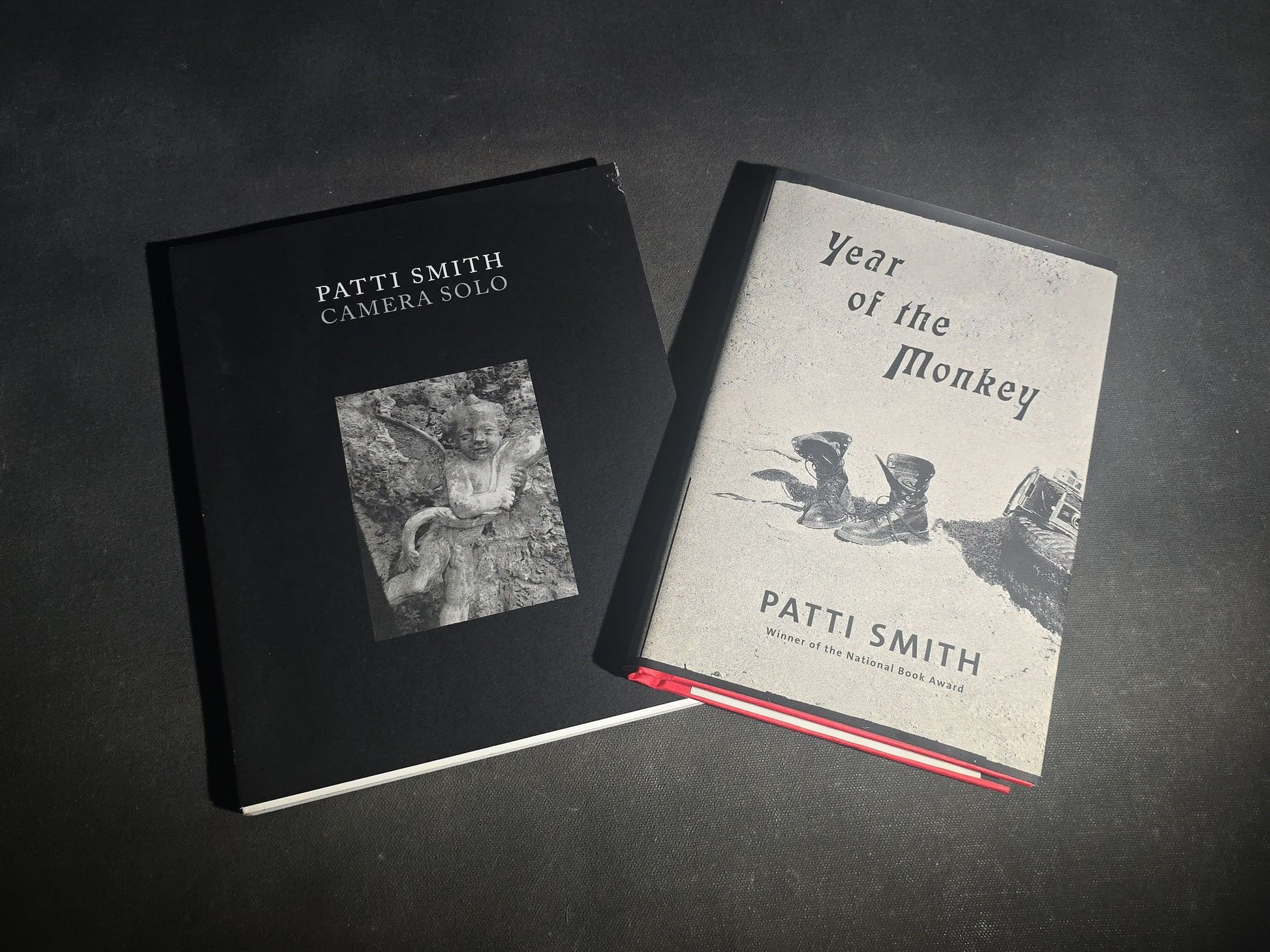 Pair of Modern Patti Smith Books including "Camera Solo" and "Year of the Monkey"