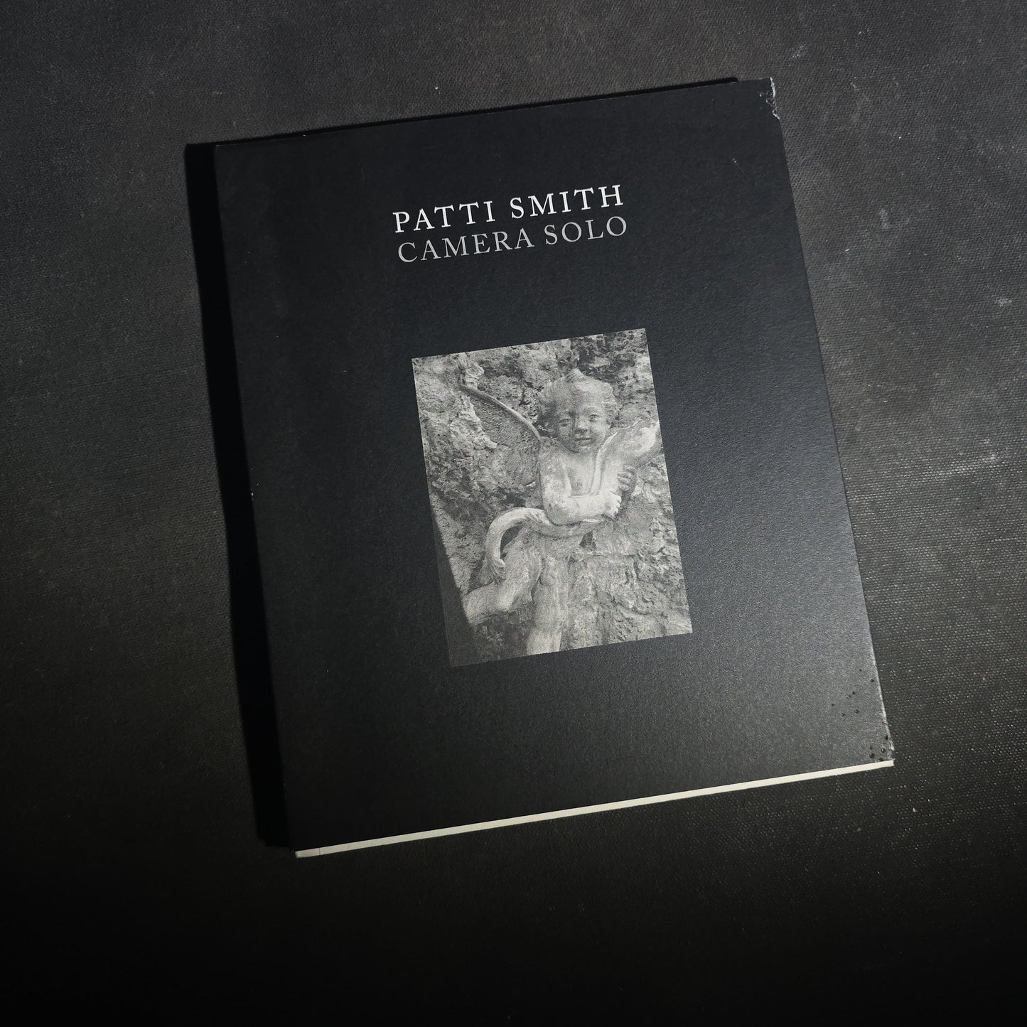 Pair of Modern Patti Smith Books including "Camera Solo" and "Year of the Monkey"
