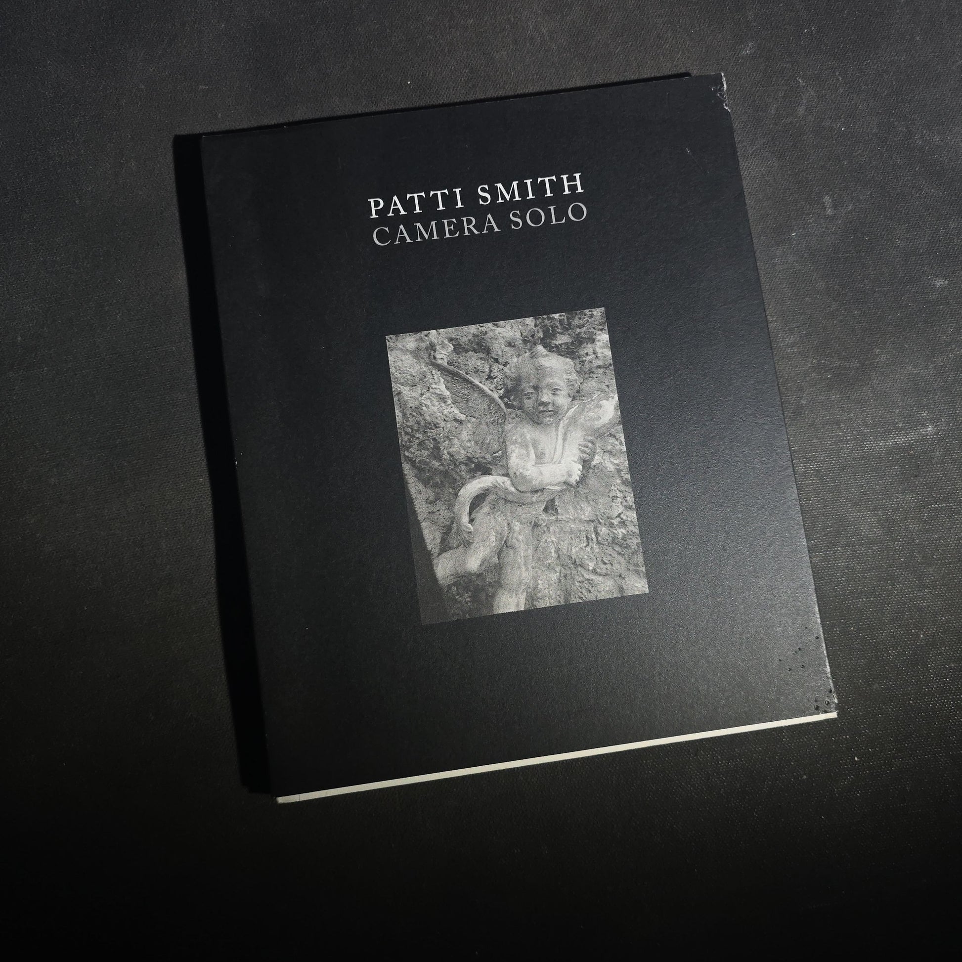Pair of Modern Patti Smith Books including "Camera Solo" and "Year of the Monkey"