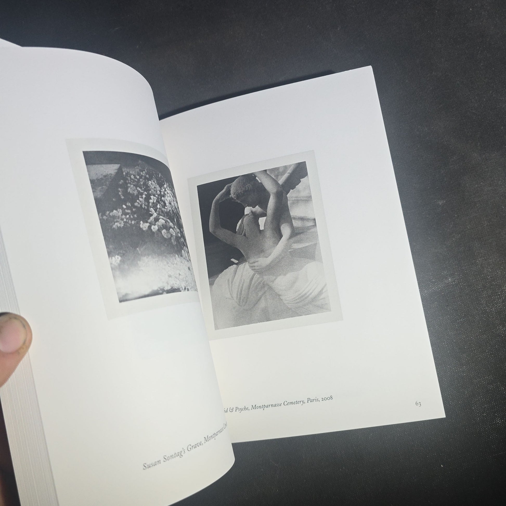 Pair of Modern Patti Smith Books including "Camera Solo" and "Year of the Monkey"