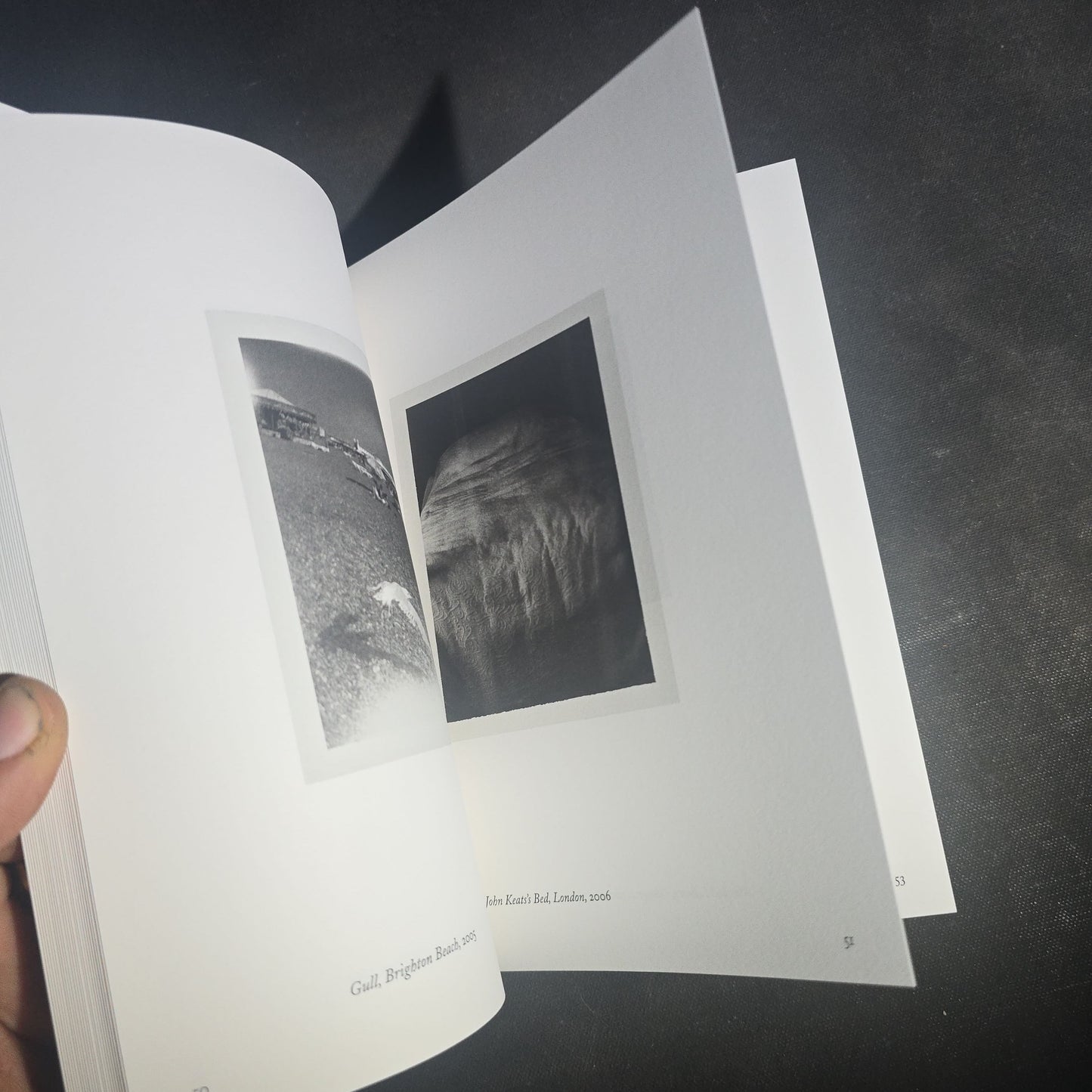 Pair of Modern Patti Smith Books including "Camera Solo" and "Year of the Monkey"