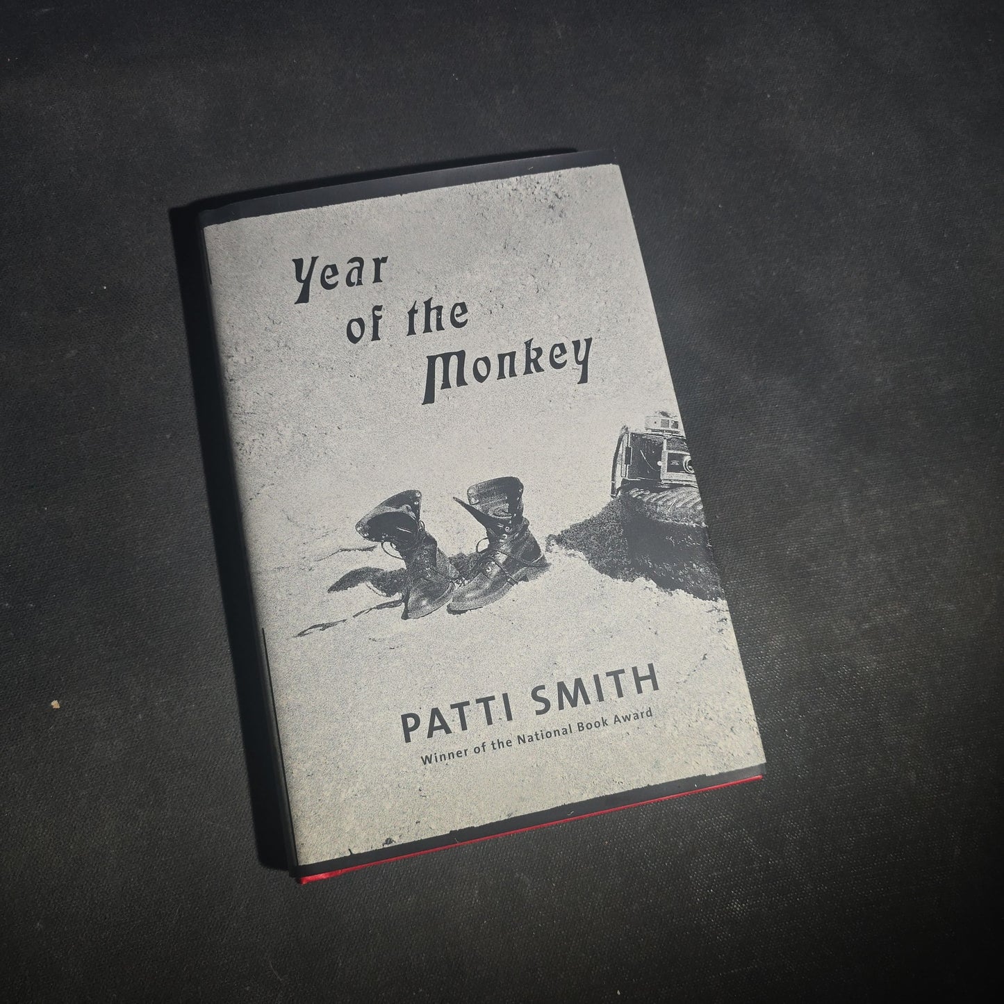 Pair of Modern Patti Smith Books including "Camera Solo" and "Year of the Monkey"