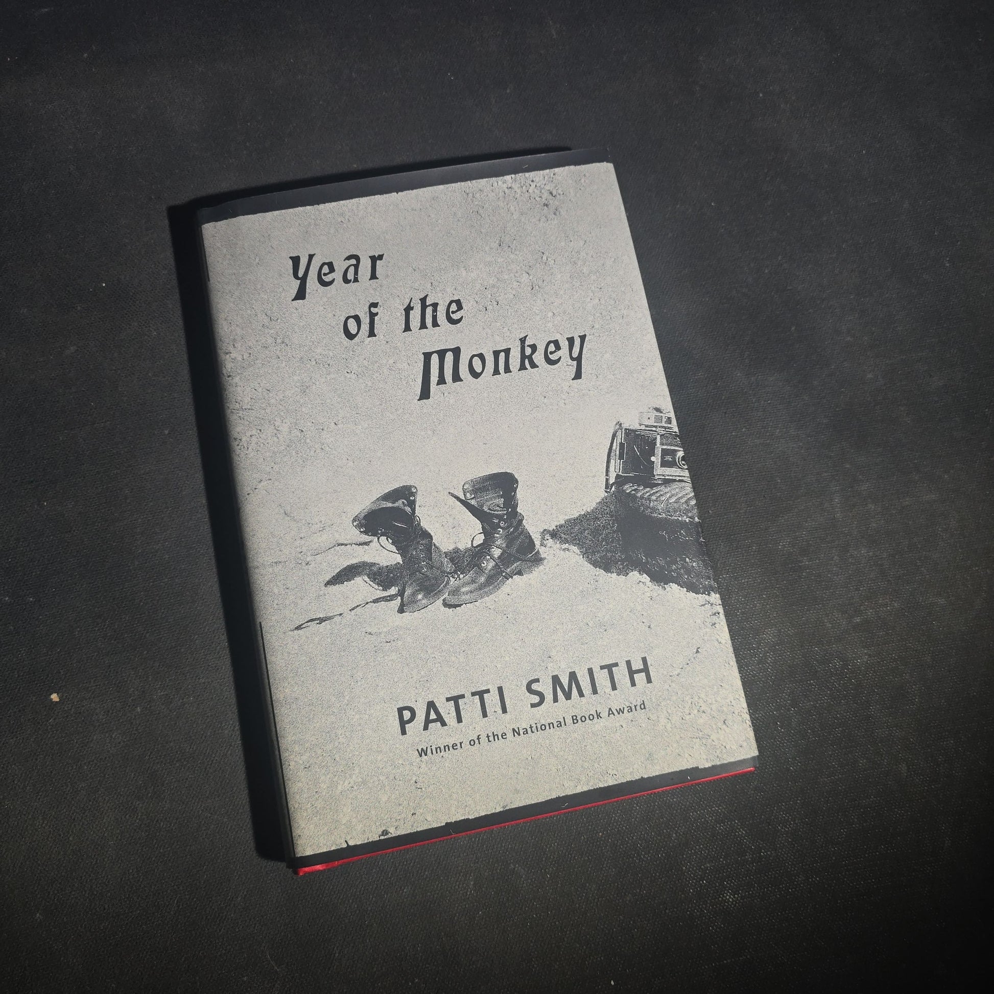 Pair of Modern Patti Smith Books including "Camera Solo" and "Year of the Monkey"