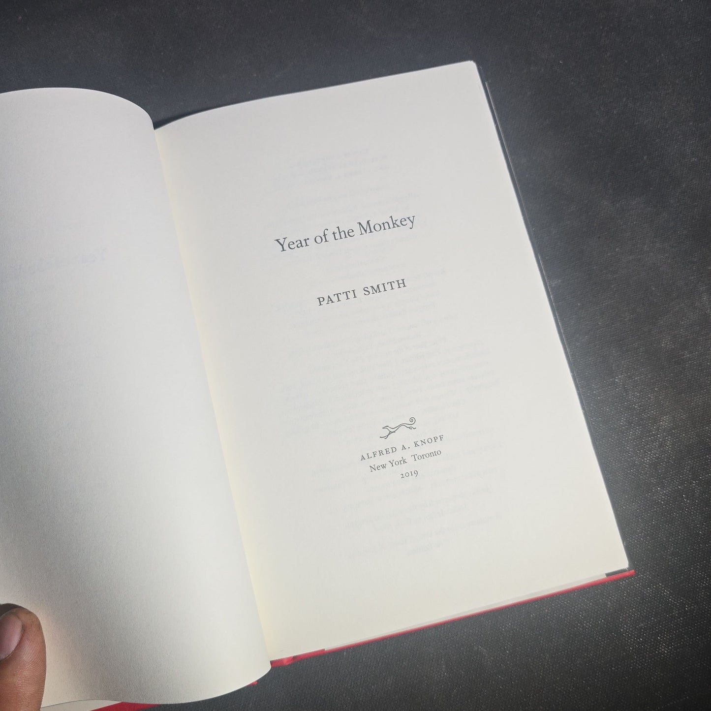 Pair of Modern Patti Smith Books including "Camera Solo" and "Year of the Monkey"